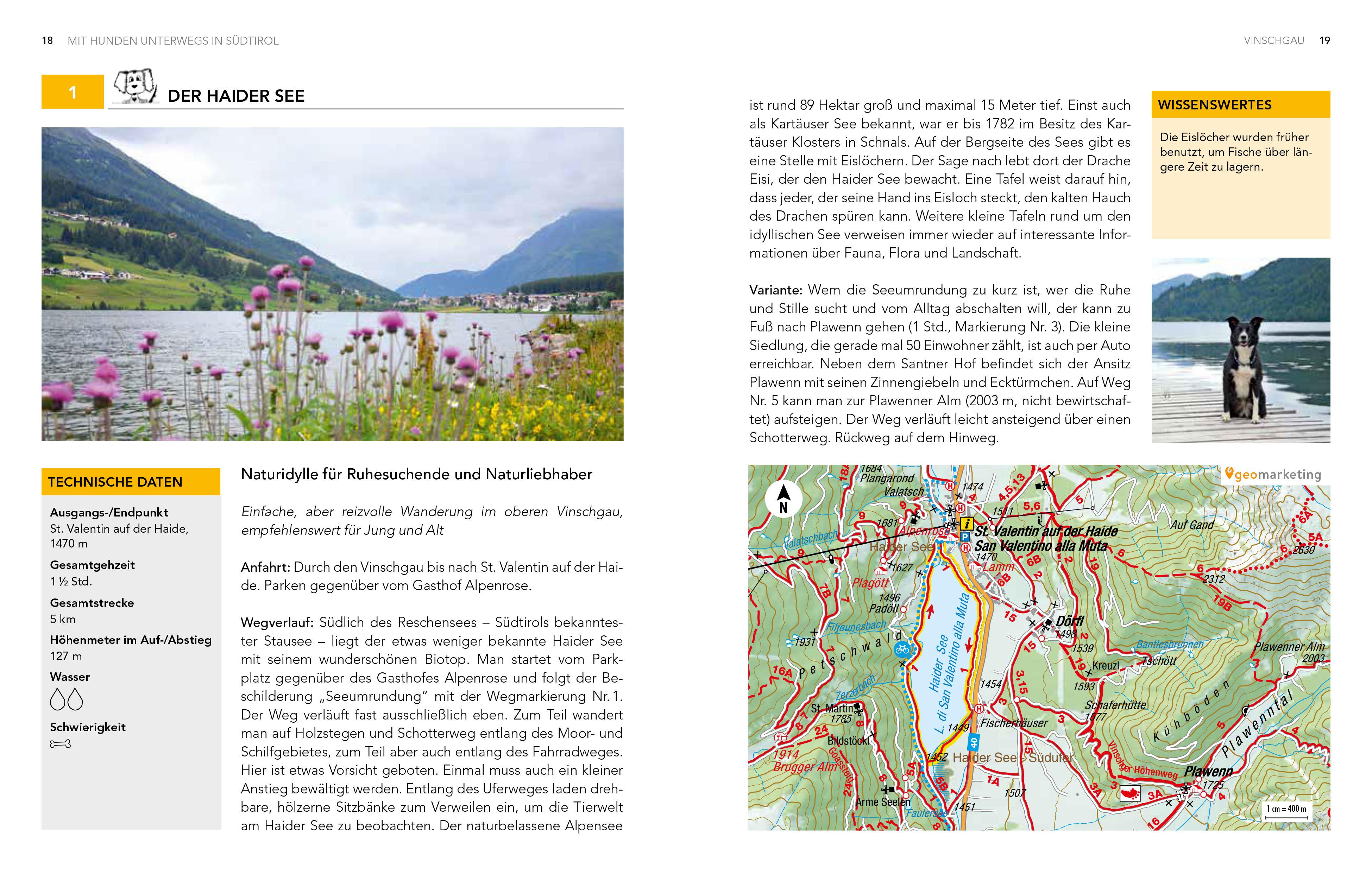 Beispielinhalt (Bild) Mit Hunden unterwegs in Südtirol