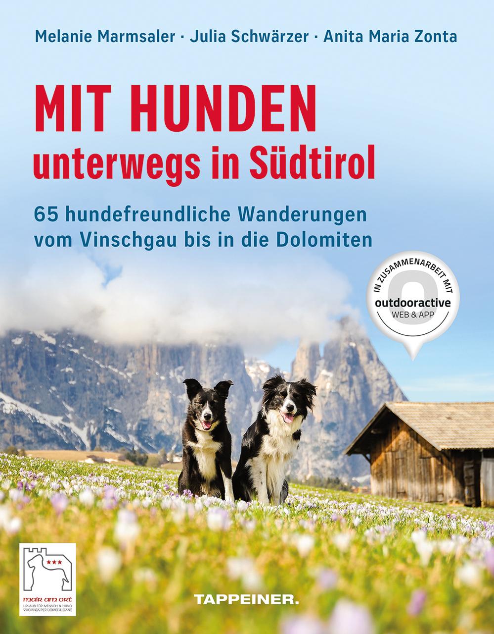 Vorderes Coverbild Mit Hunden unterwegs in Südtirol