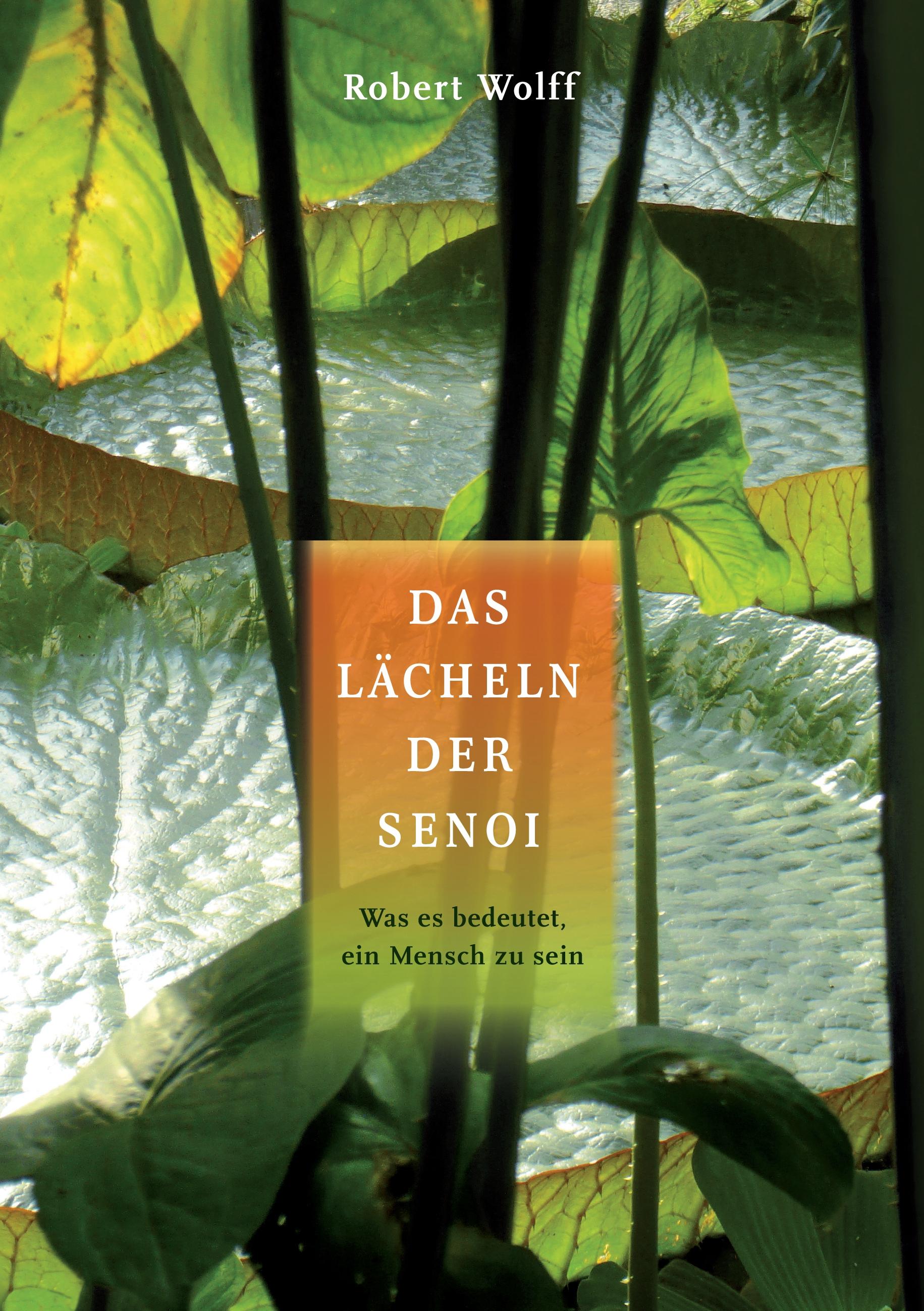 Vorderes Coverbild Das Lächeln der Senoi