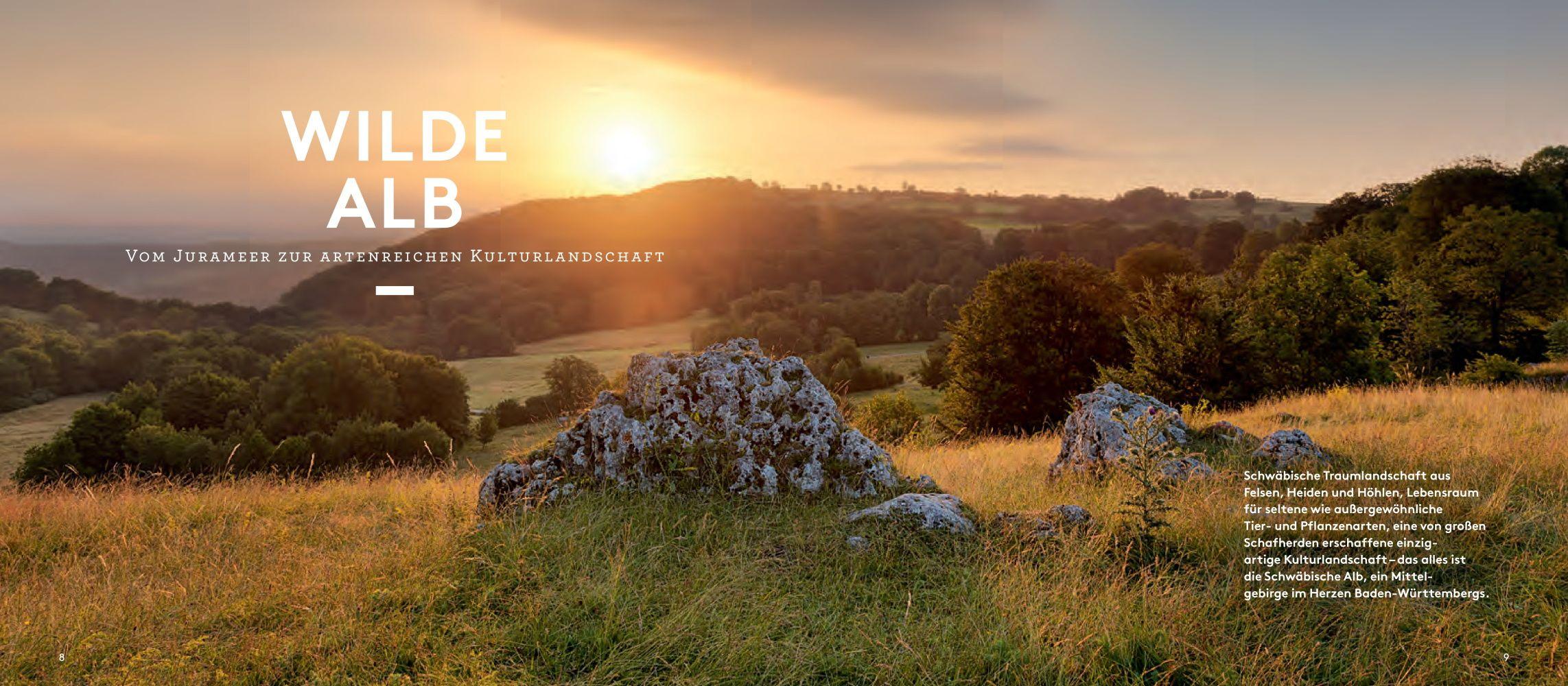 Beispielinhalt (Bild) Wilde Alb