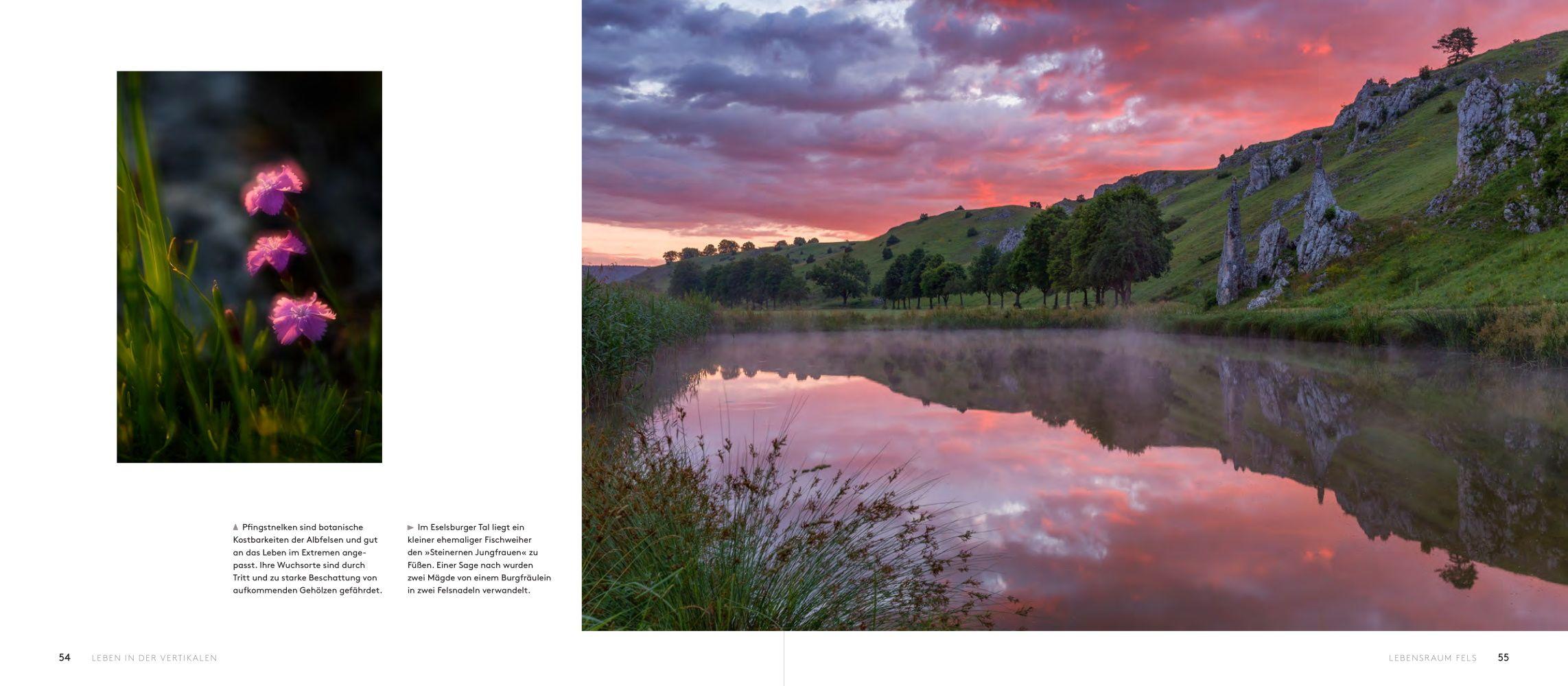 Beispielinhalt (Bild) Wilde Alb