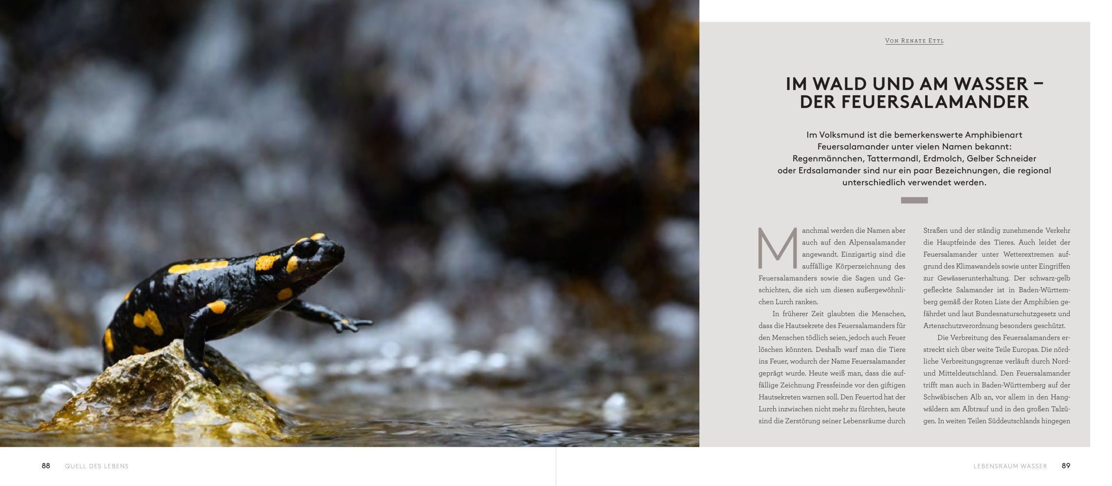 Beispielinhalt (Bild) Wilde Alb