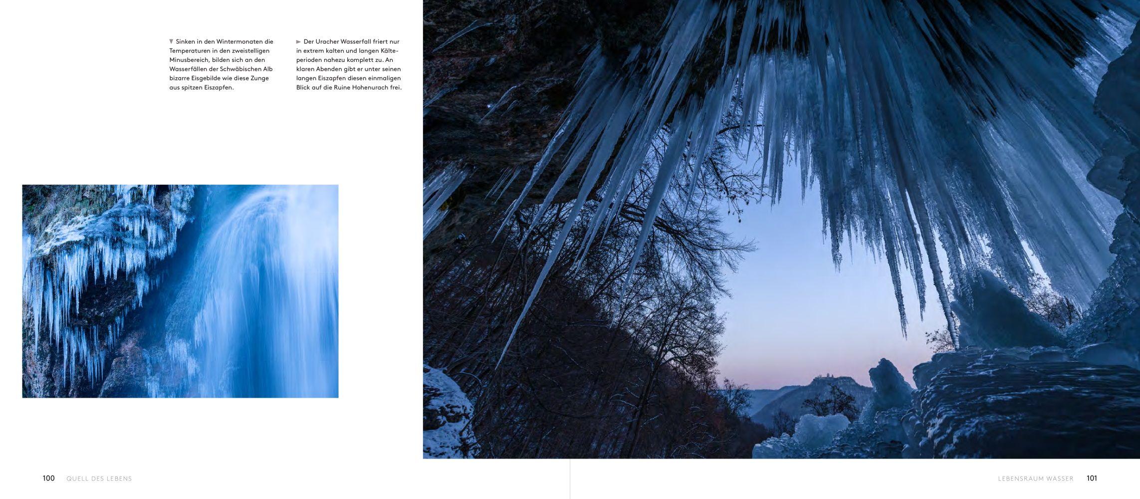 Beispielinhalt (Bild) Wilde Alb