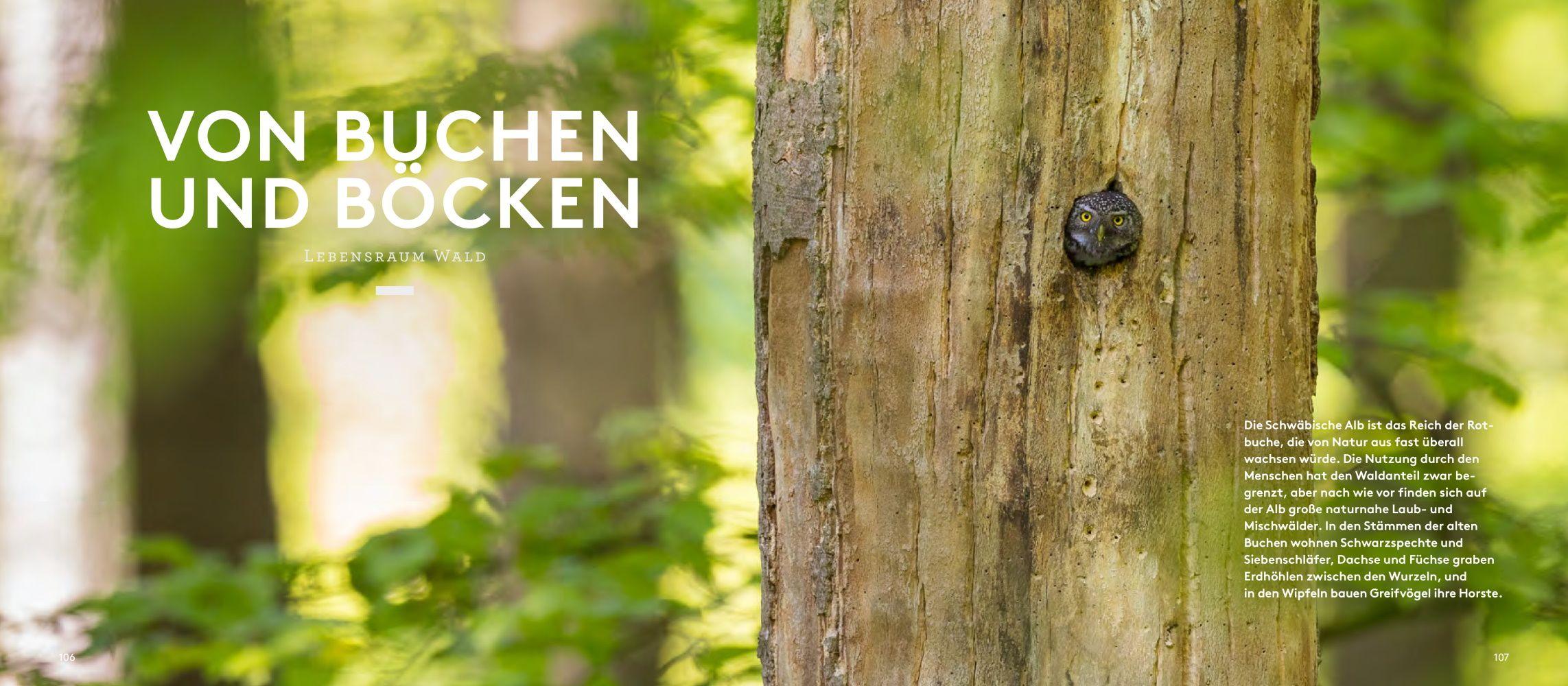 Beispielinhalt (Bild) Wilde Alb