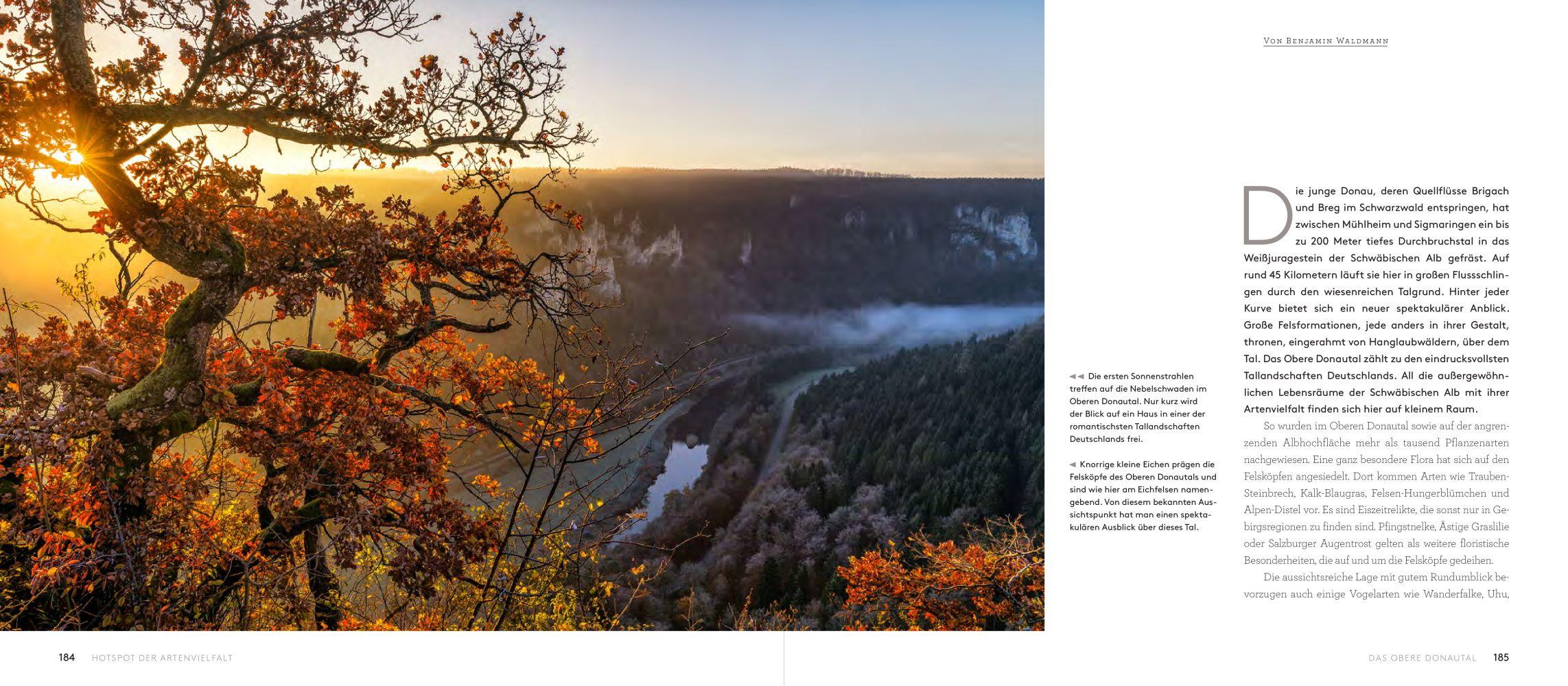 Beispielinhalt (Bild) Wilde Alb