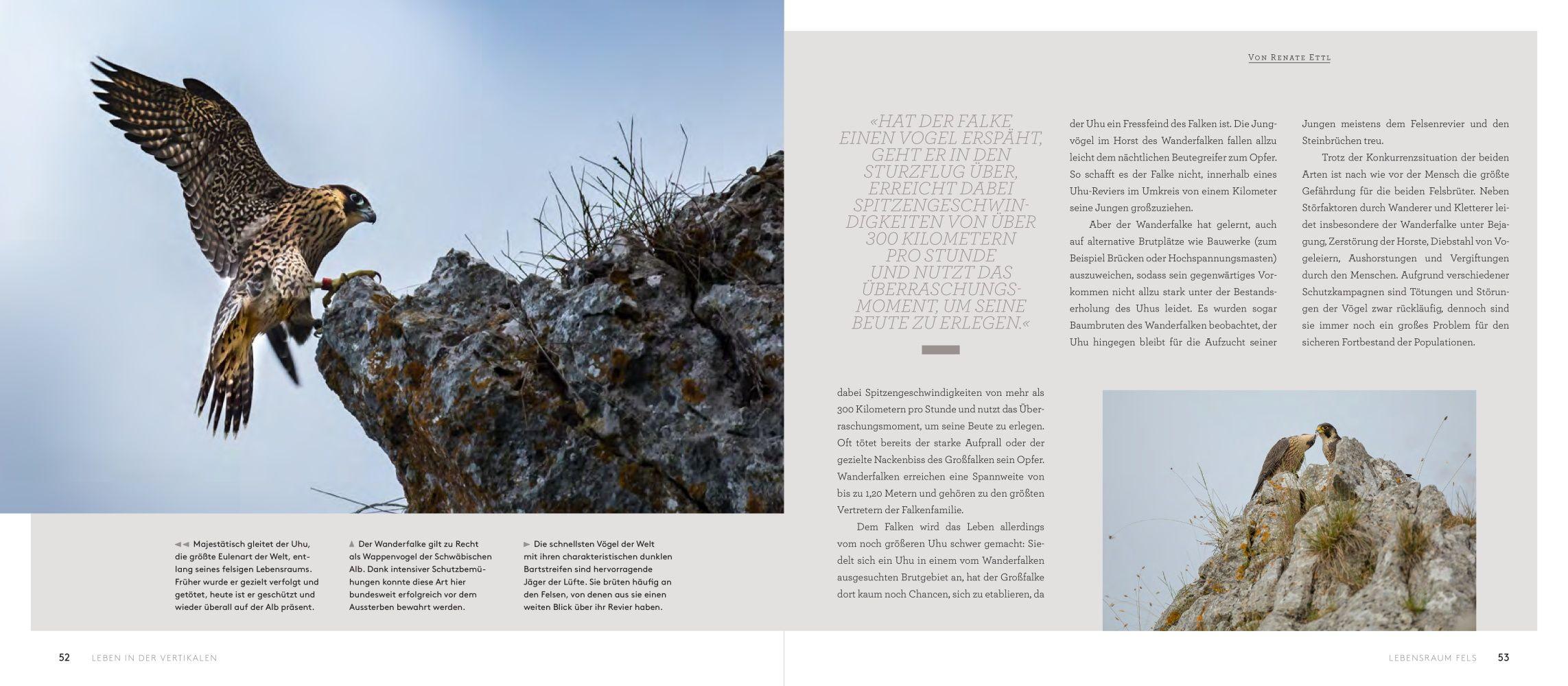 Beispielinhalt (Bild) Wilde Alb