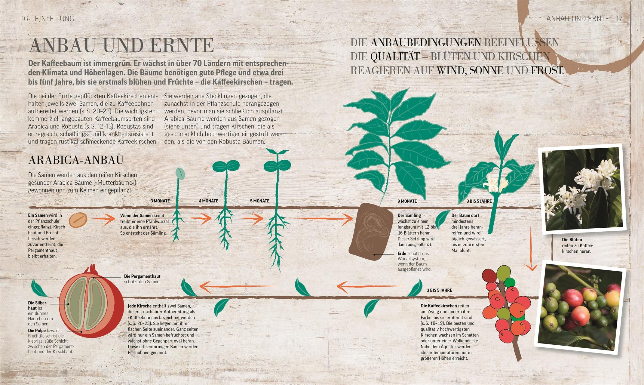 Beispielinhalt (Bild) Das Kaffee-Buch