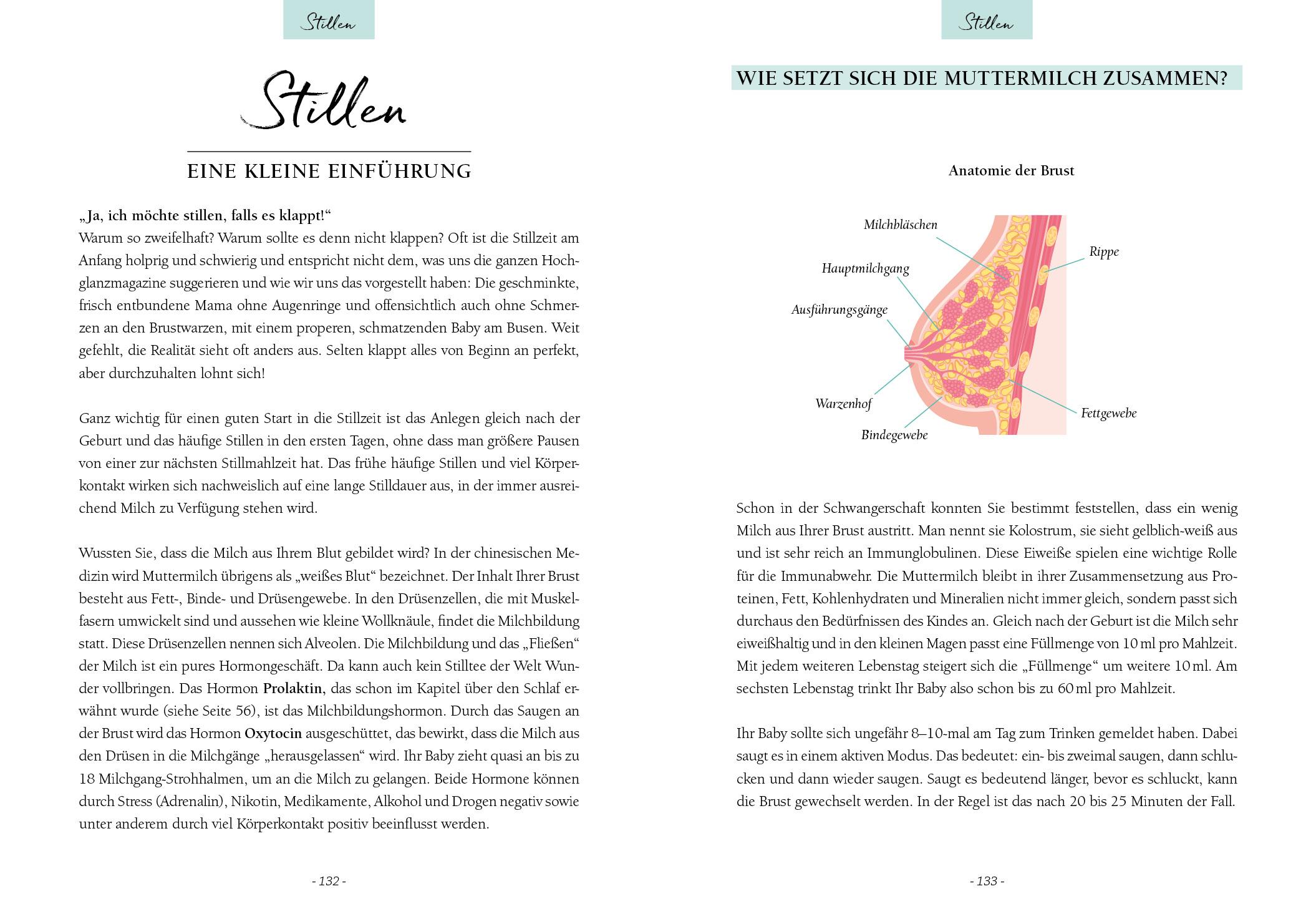 Beispielinhalt (Bild) Ich werde Mama! Der perfekte Schwangerschaftsbegleiter