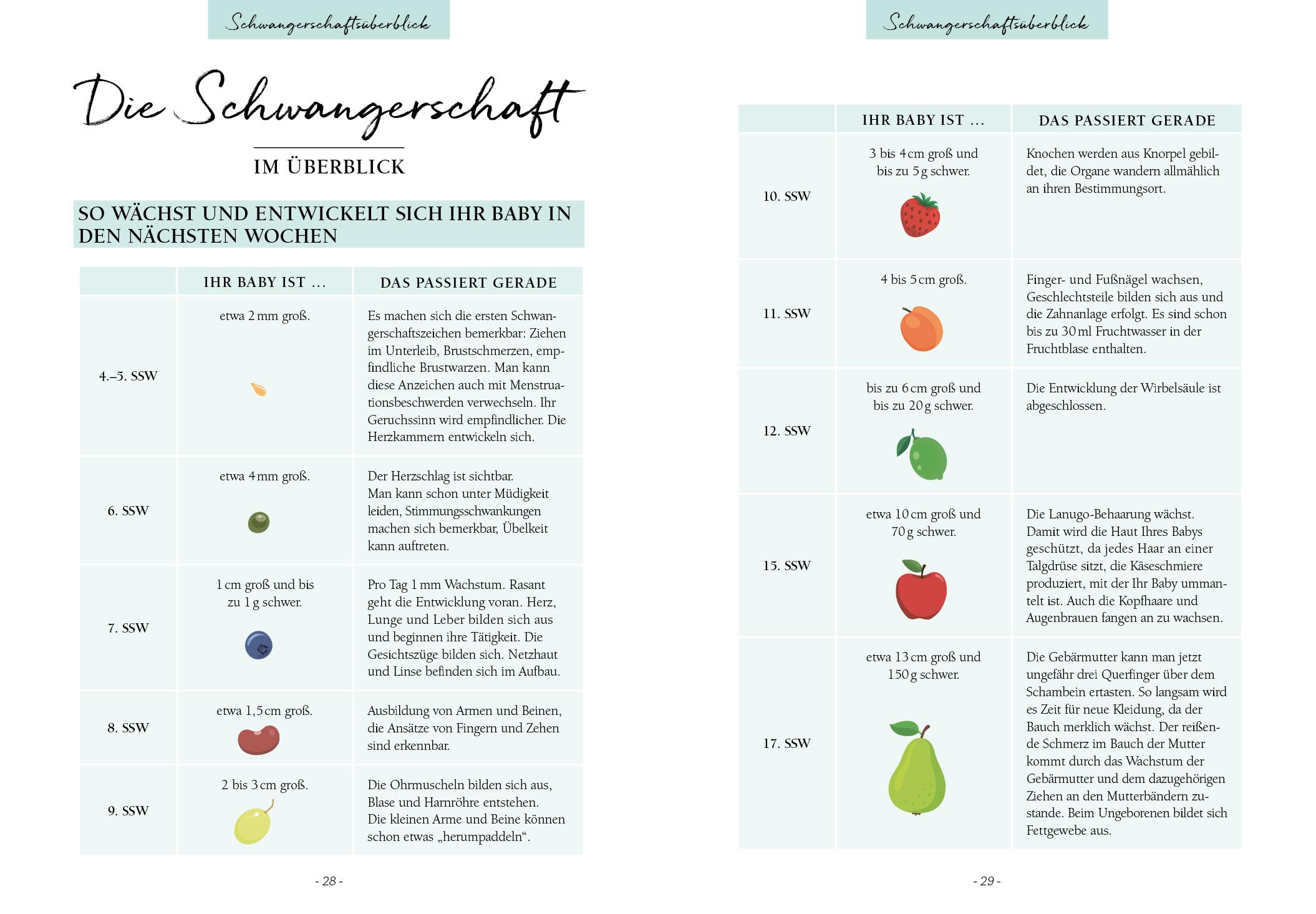 Beispielinhalt (Bild) Ich werde Mama! Der perfekte Schwangerschaftsbegleiter