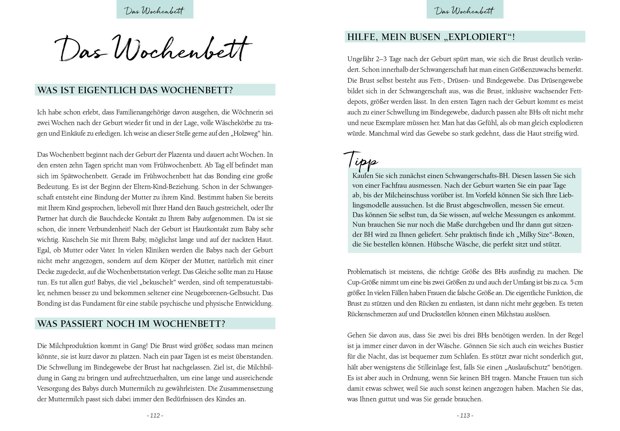 Beispielinhalt (Bild) Ich werde Mama! Der perfekte Schwangerschaftsbegleiter