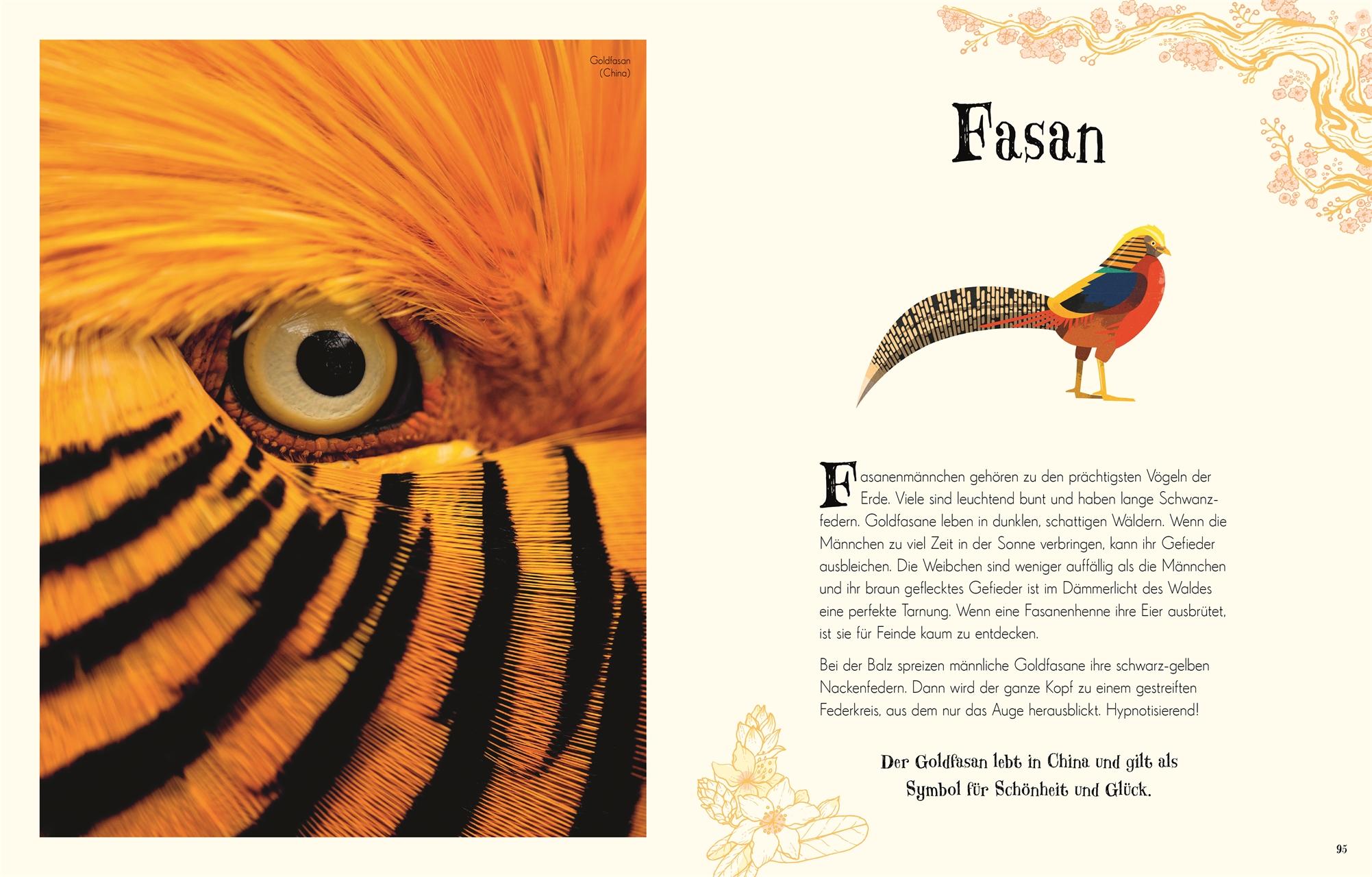Beispielinhalt (Bild) Wundervolle Welt der Tiere