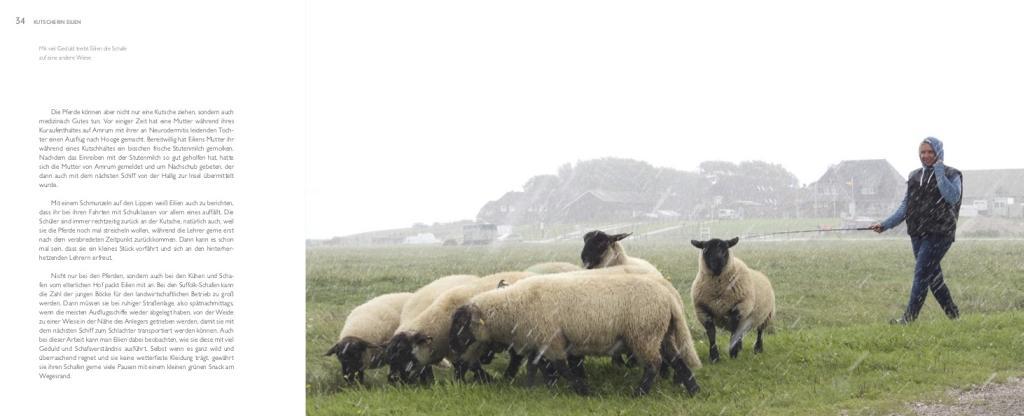 Beispielinhalt (Bild) Von Menschen und Meer