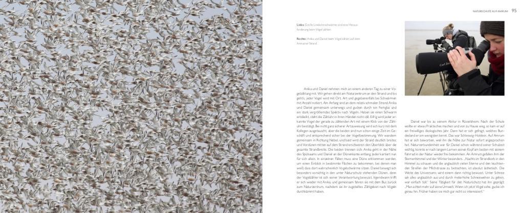 Beispielinhalt (Bild) Von Menschen und Meer