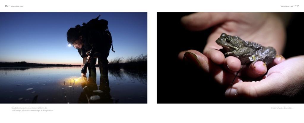 Beispielinhalt (Bild) Von Menschen und Meer