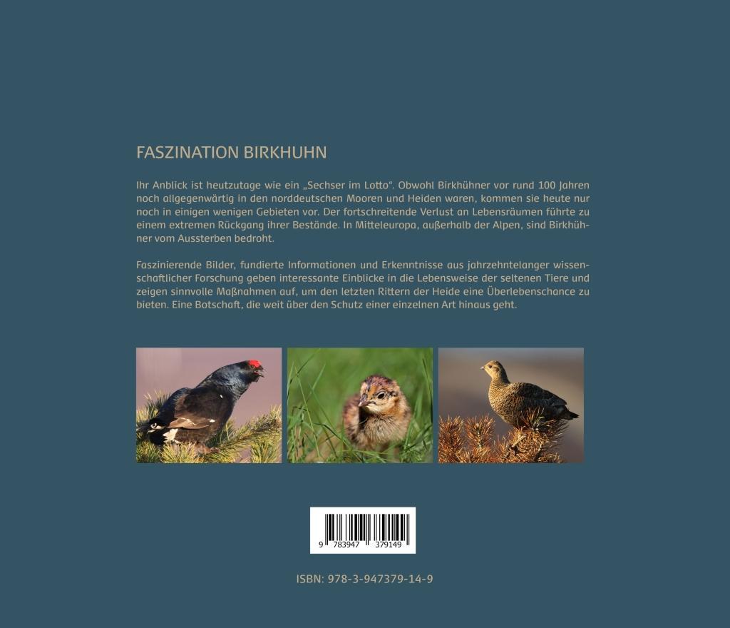Beispielinhalt (Bild) Faszination Birkhuhn