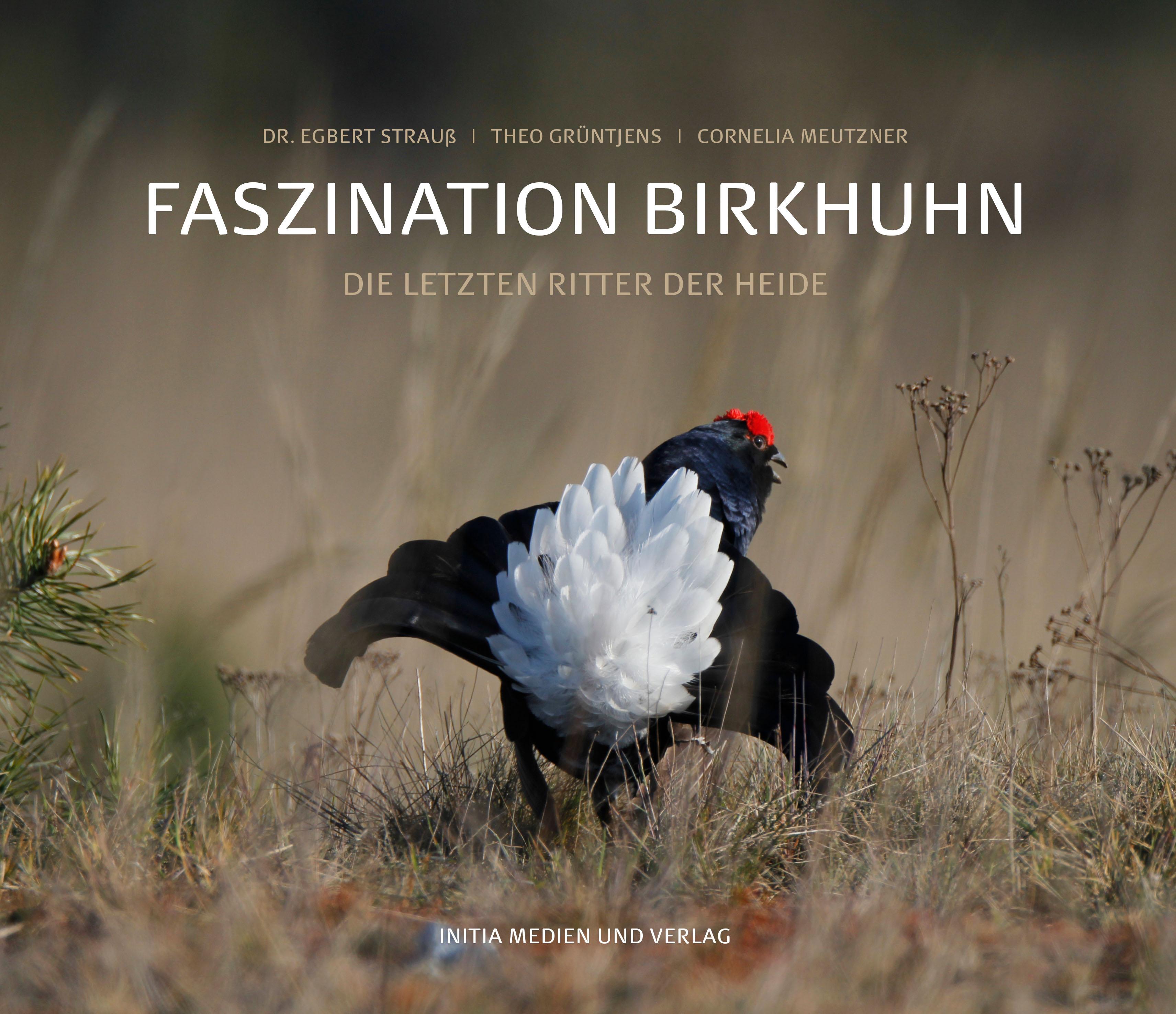 Vorderes Coverbild Faszination Birkhuhn