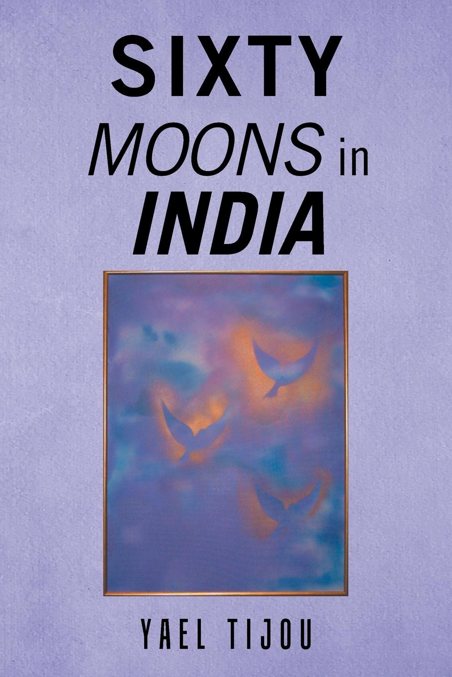 Vorderes Coverbild Sixty Moons in India
