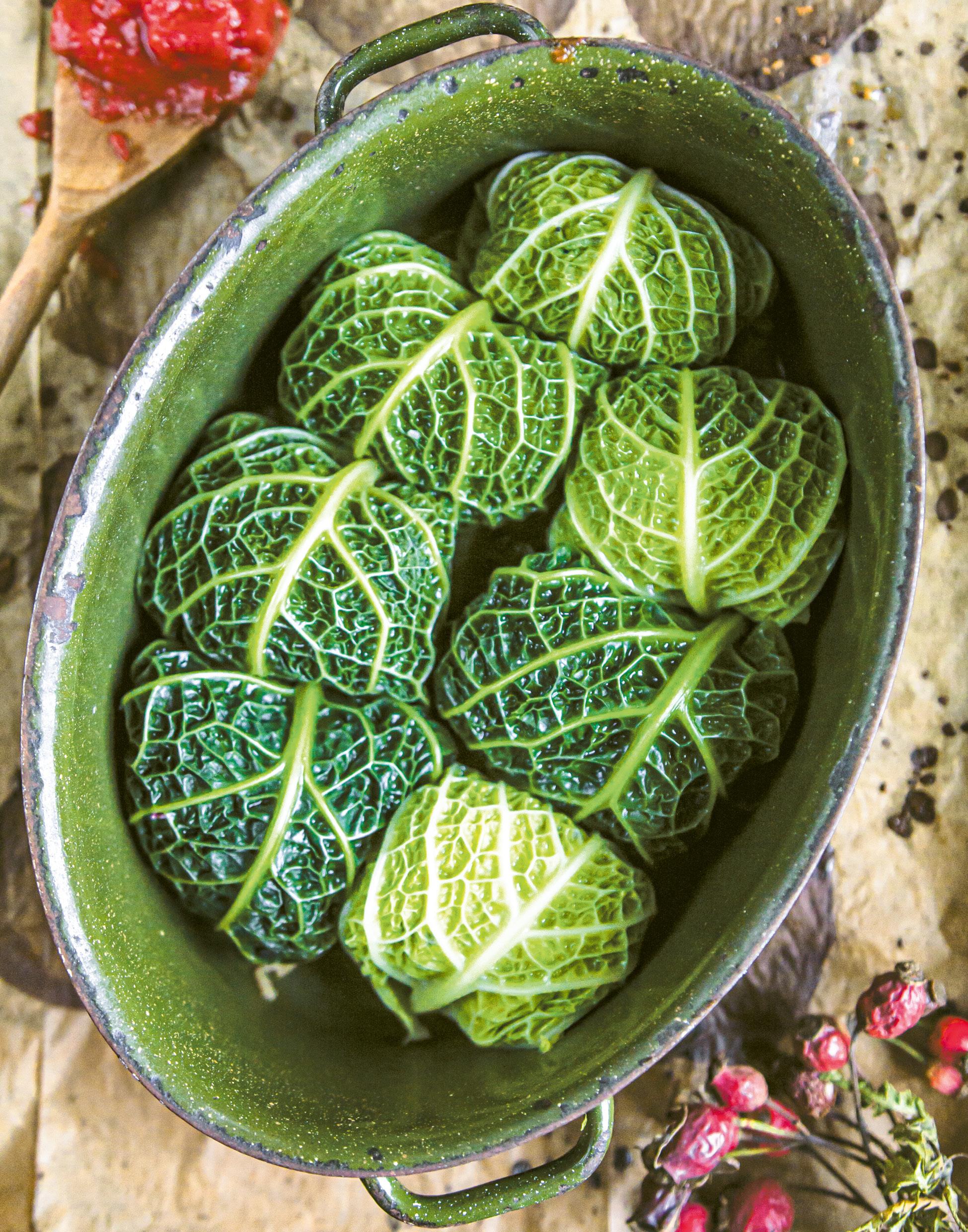 Beispielinhalt (Bild) Zufällig vegan