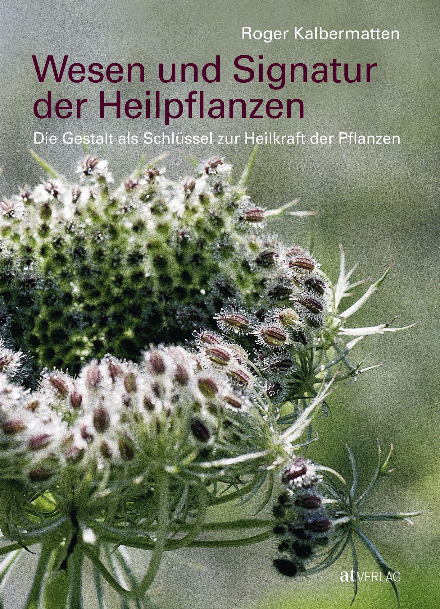 Vorderes Coverbild Wesen und Signatur der Heilpflanzen