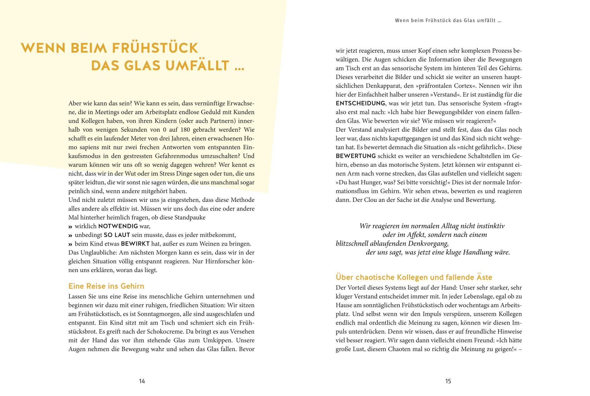 Beispielinhalt (Bild) Erziehen ohne Schimpfen