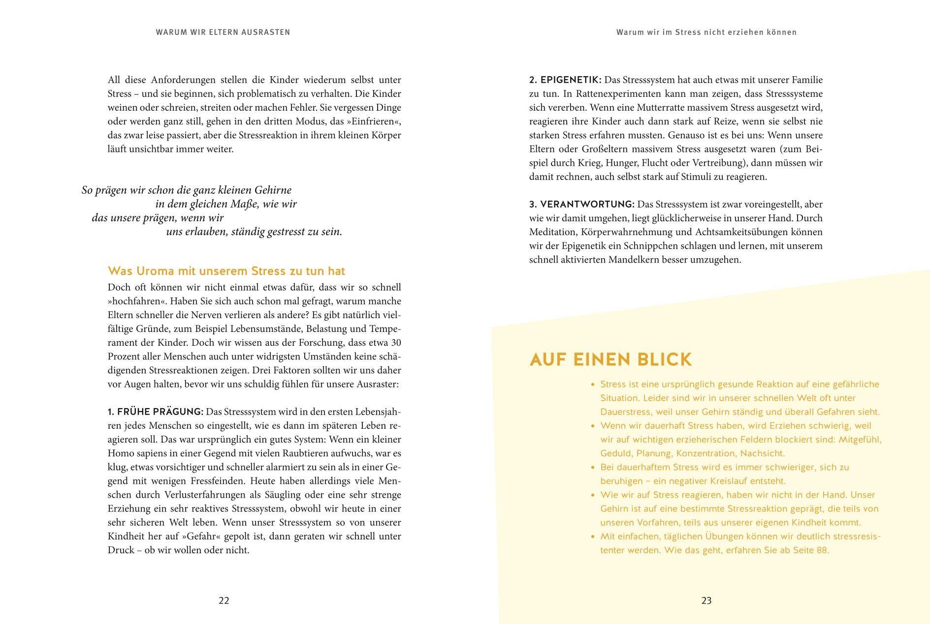 Beispielinhalt (Bild) Erziehen ohne Schimpfen