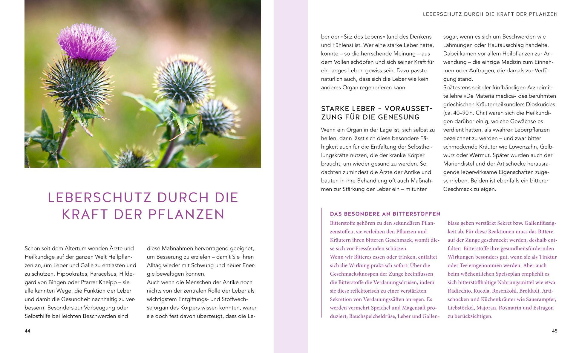 Beispielinhalt (Bild) Leber & Galle entgiften und natürlich stärken