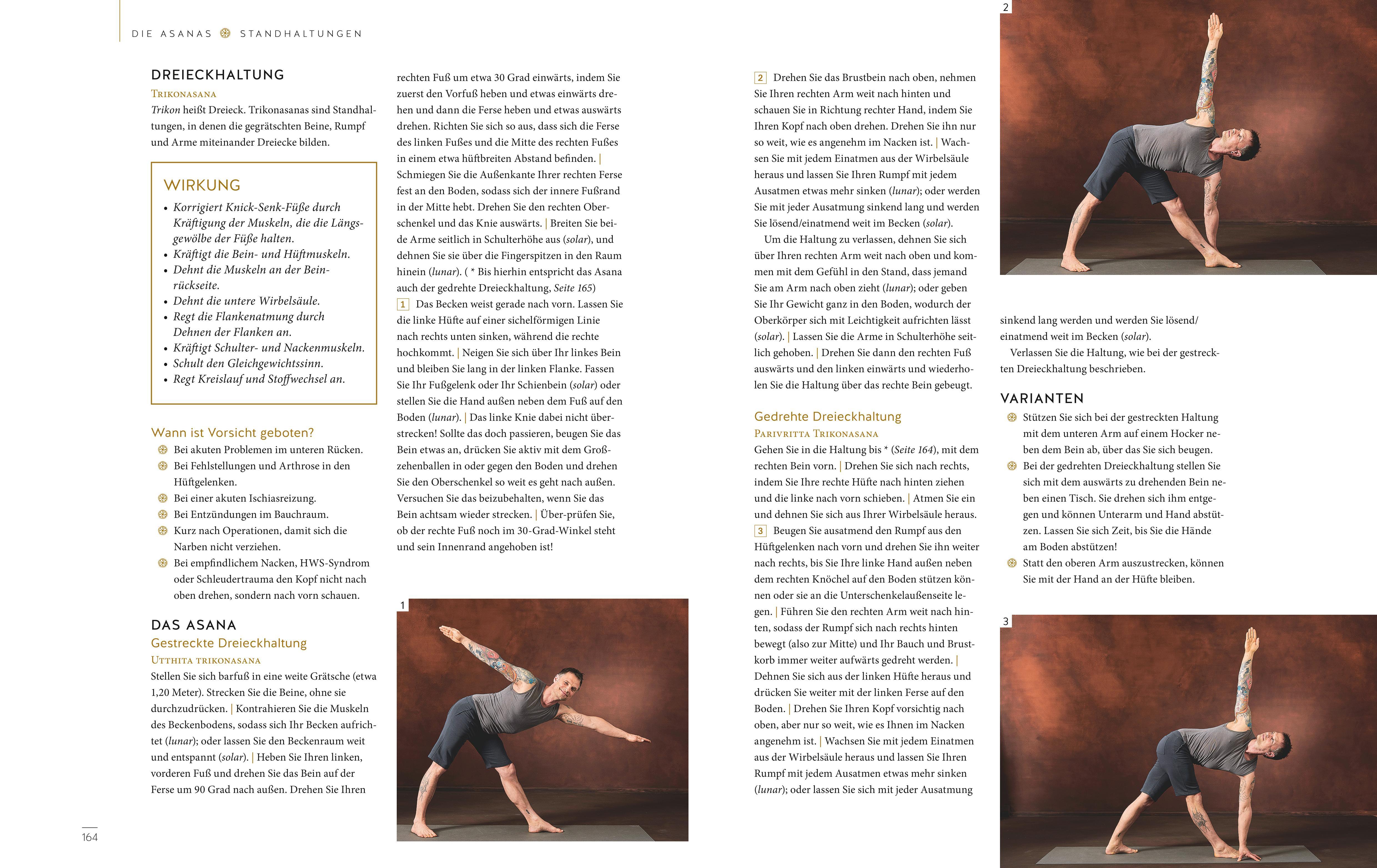 Beispielinhalt (Bild) Das große Buch vom Yoga