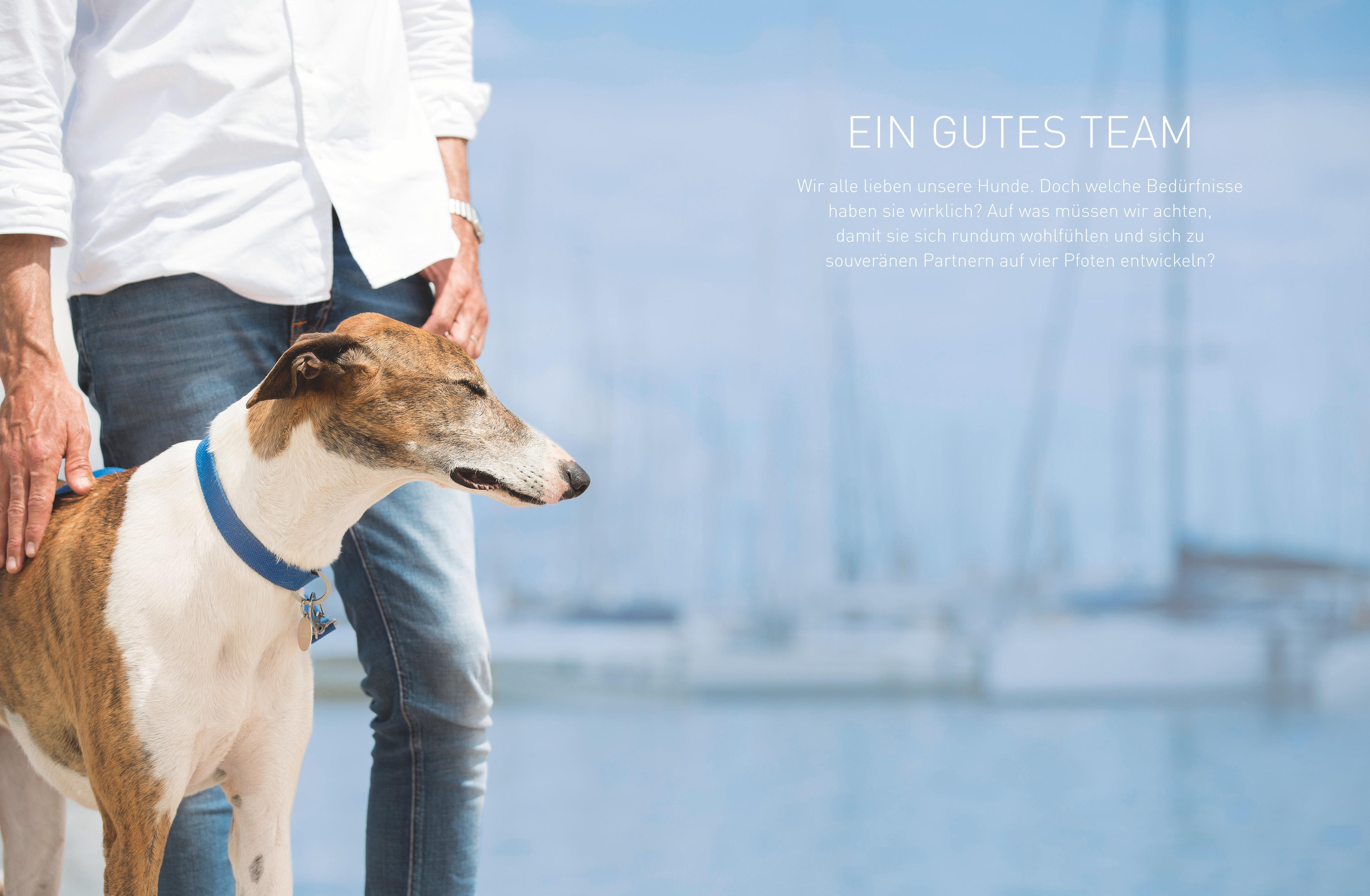 Beispielinhalt (Bild) Die  José-Arce-Methode: Liebe Deinen Hund. Wie Sie beim Gassigehen die Beziehung stärken