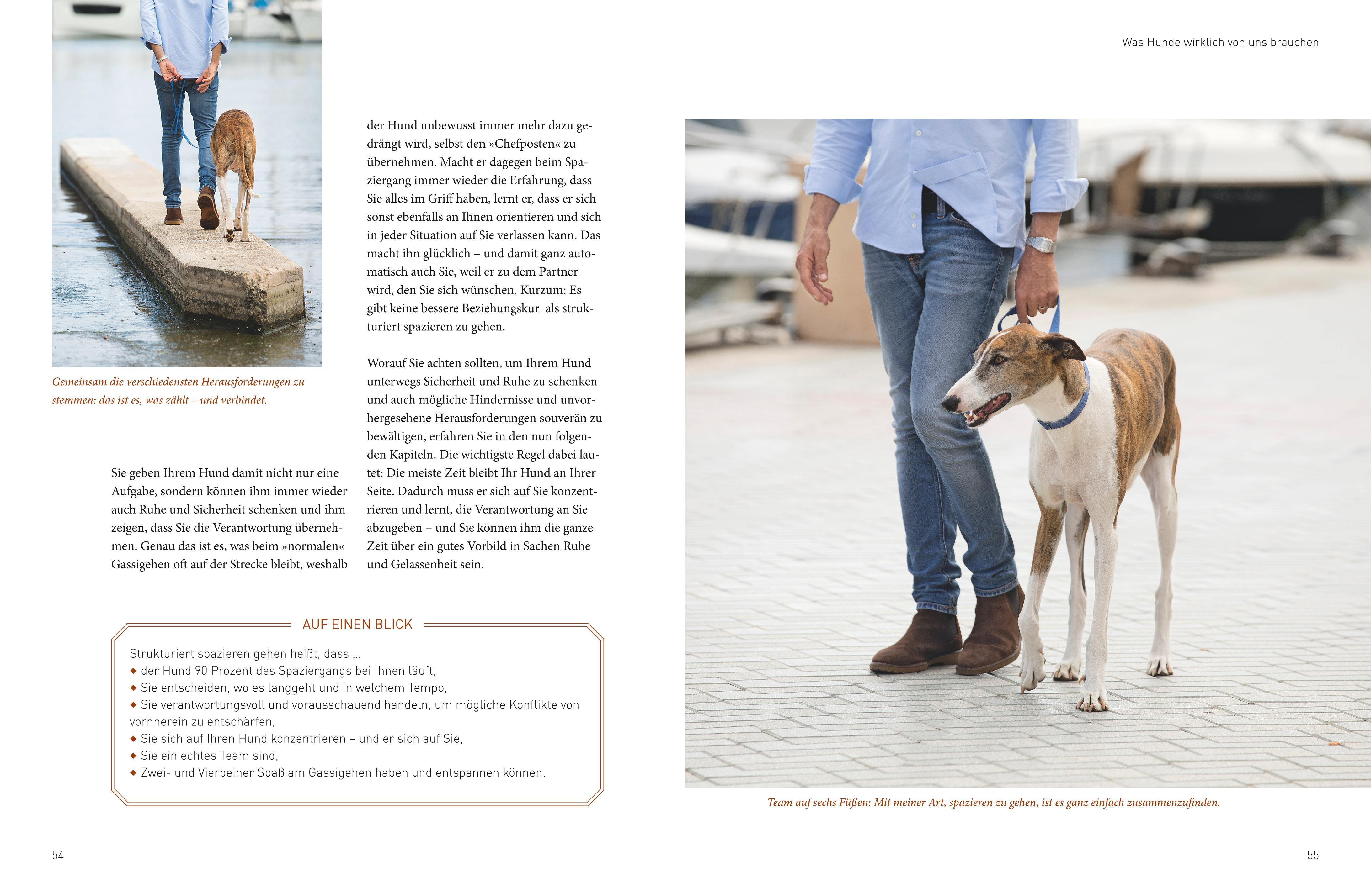 Beispielinhalt (Bild) Die  José-Arce-Methode: Liebe Deinen Hund. Wie Sie beim Gassigehen die Beziehung stärken