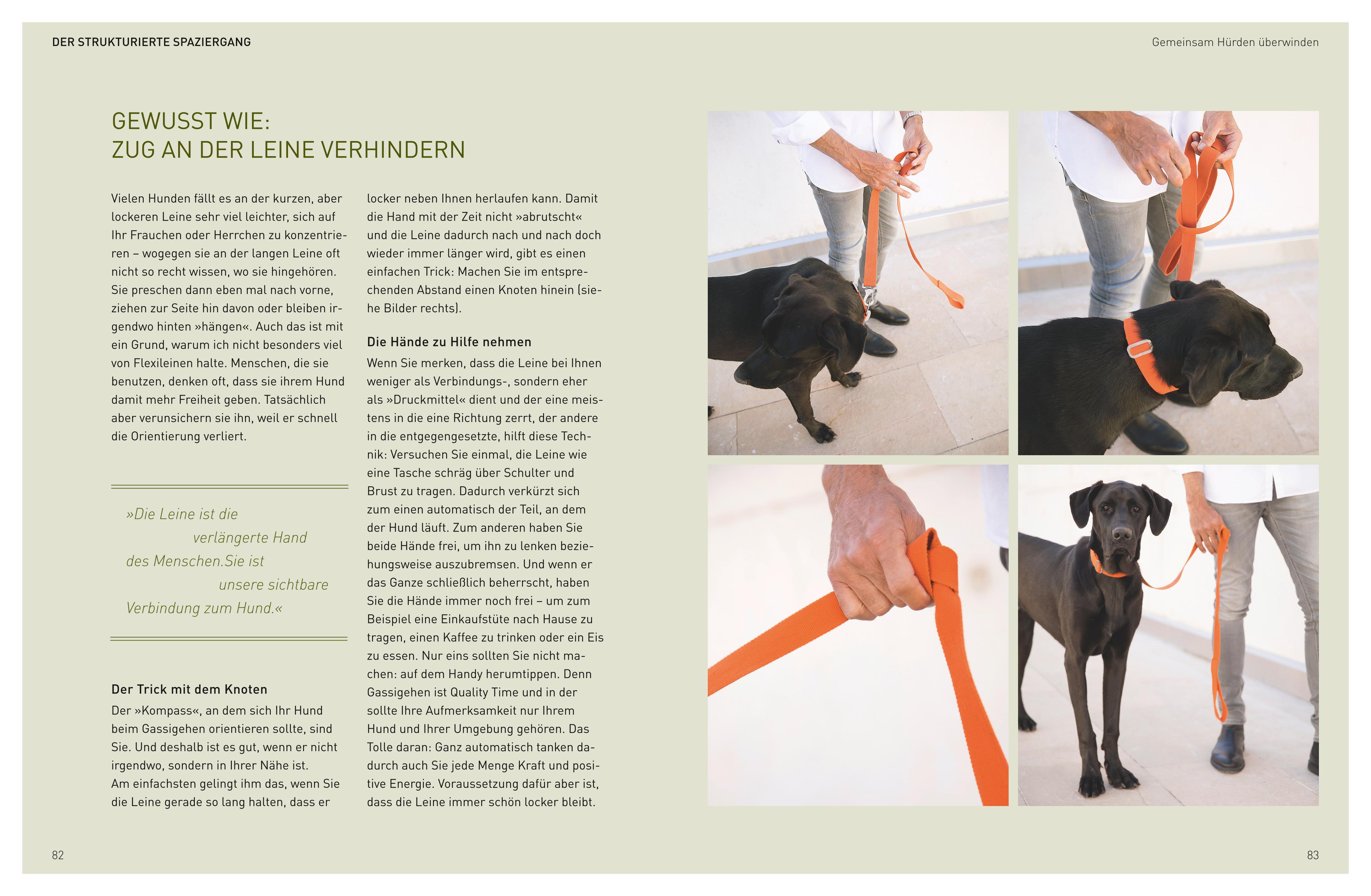 Beispielinhalt (Bild) Die  José-Arce-Methode: Liebe Deinen Hund. Wie Sie beim Gassigehen die Beziehung stärken