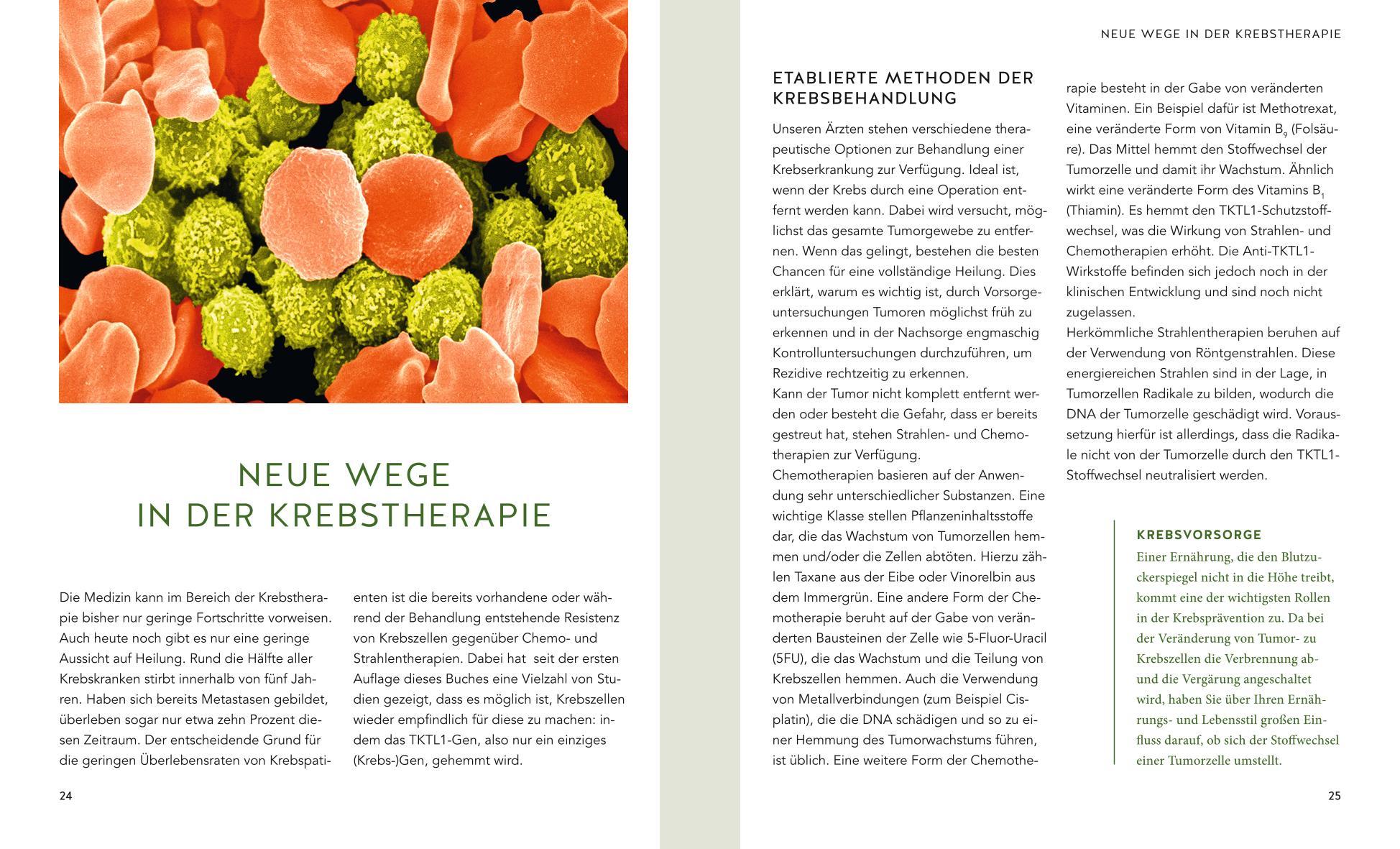 Beispielinhalt (Bild) Die neue Anti-Krebs-Ernährung