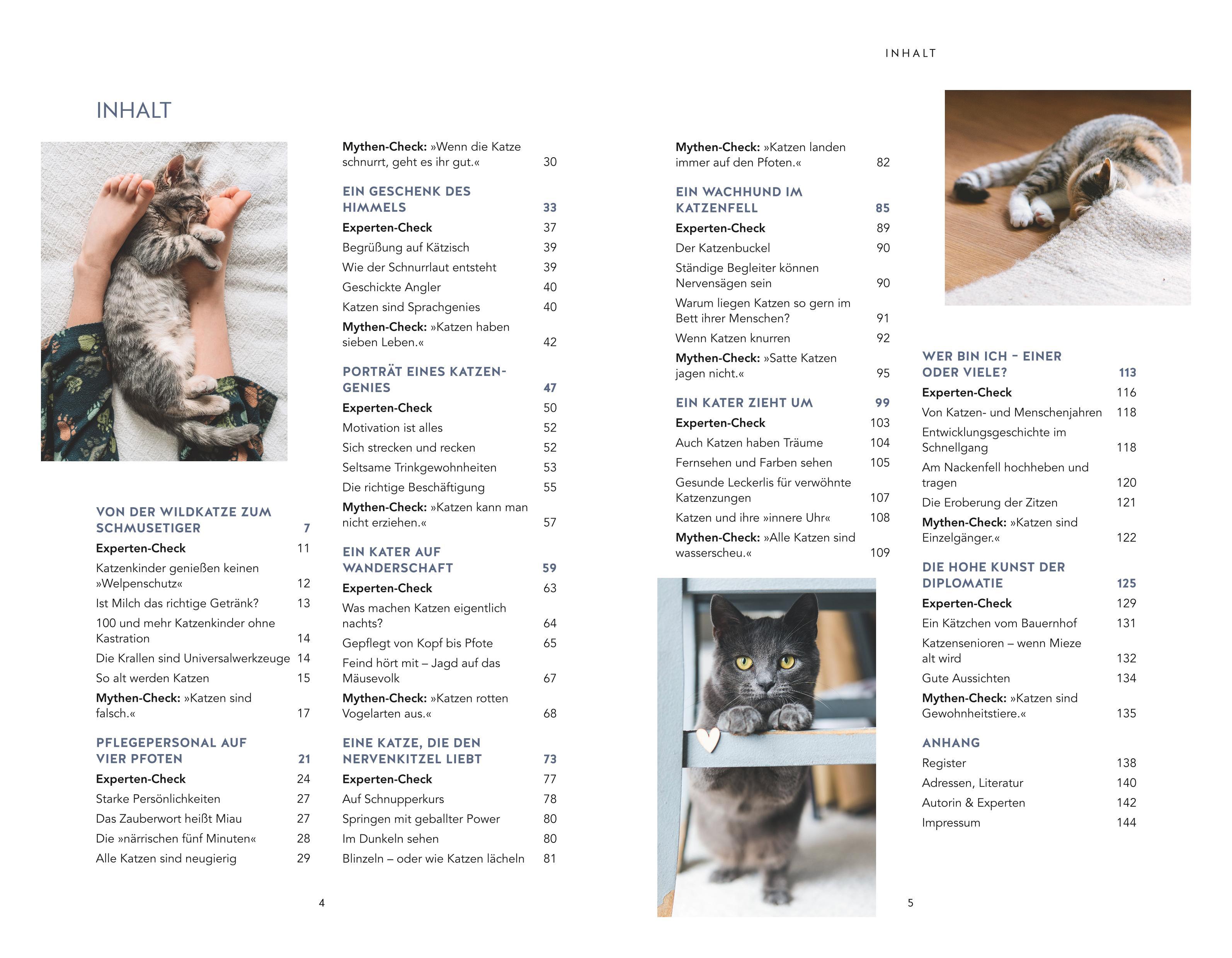 Beispielinhalt (Bild) Die unglaublichen Fähigkeiten der Katze