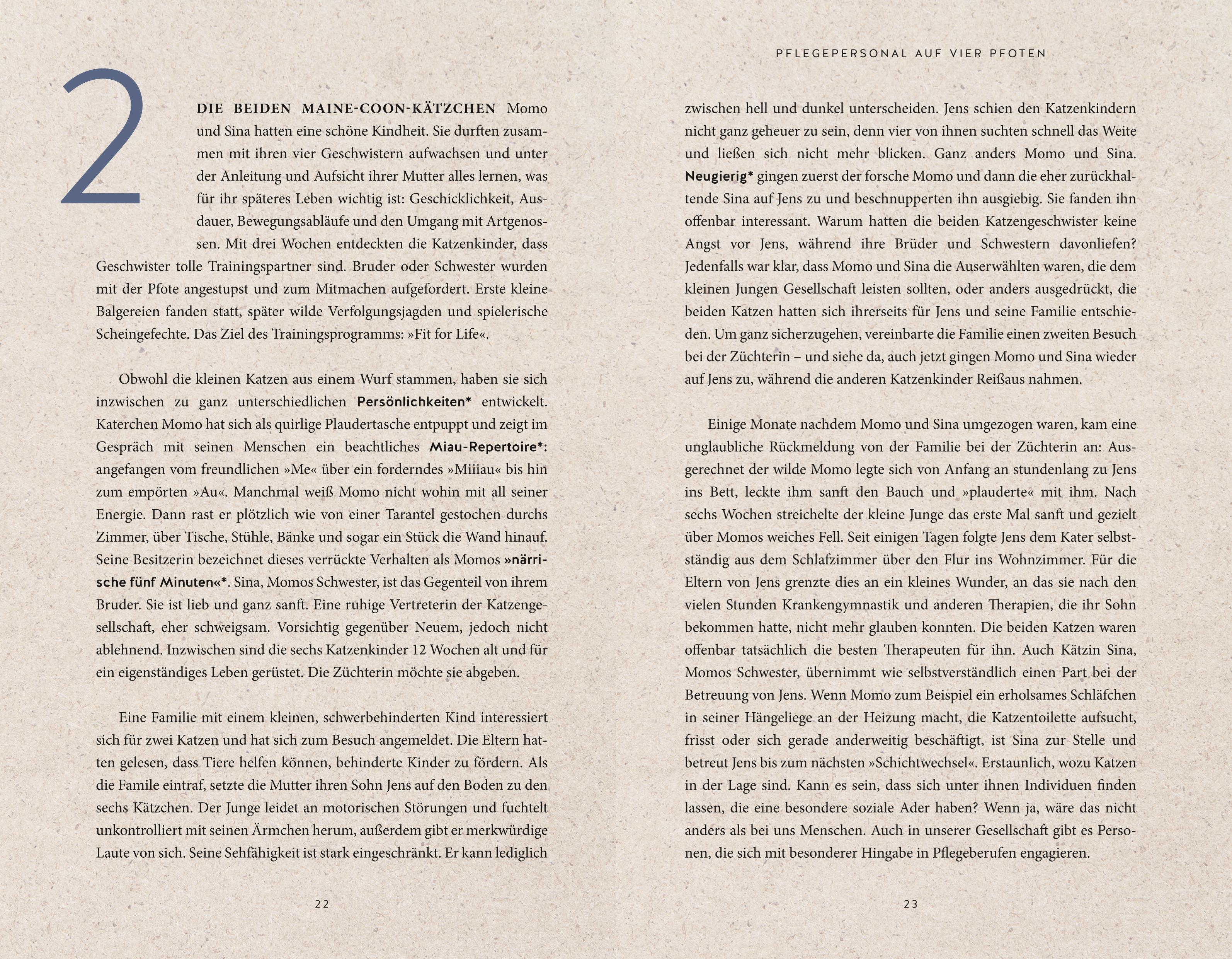 Beispielinhalt (Bild) Die unglaublichen Fähigkeiten der Katze