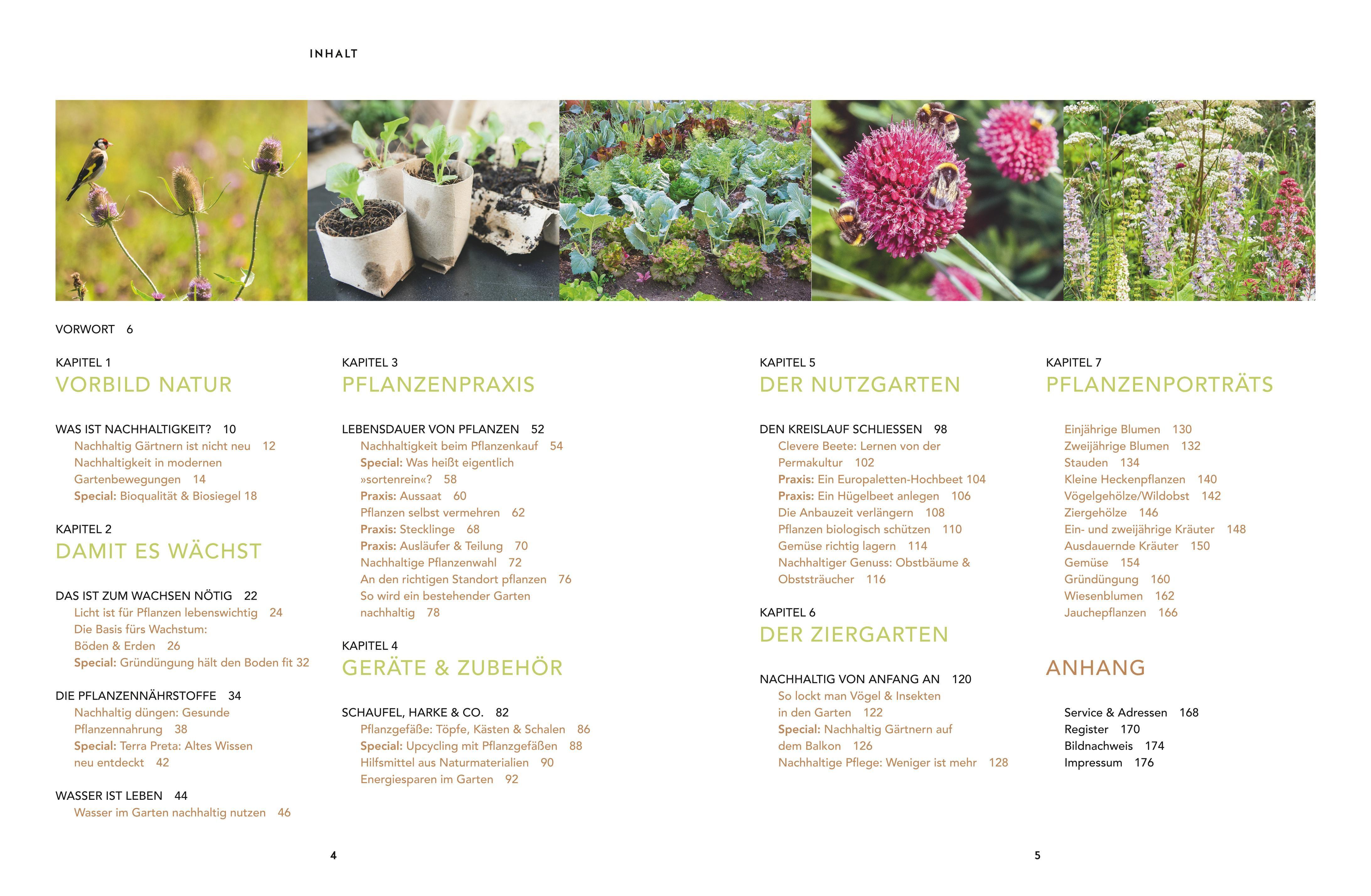 Beispielinhalt (Bild) Nachhaltig gärtnern