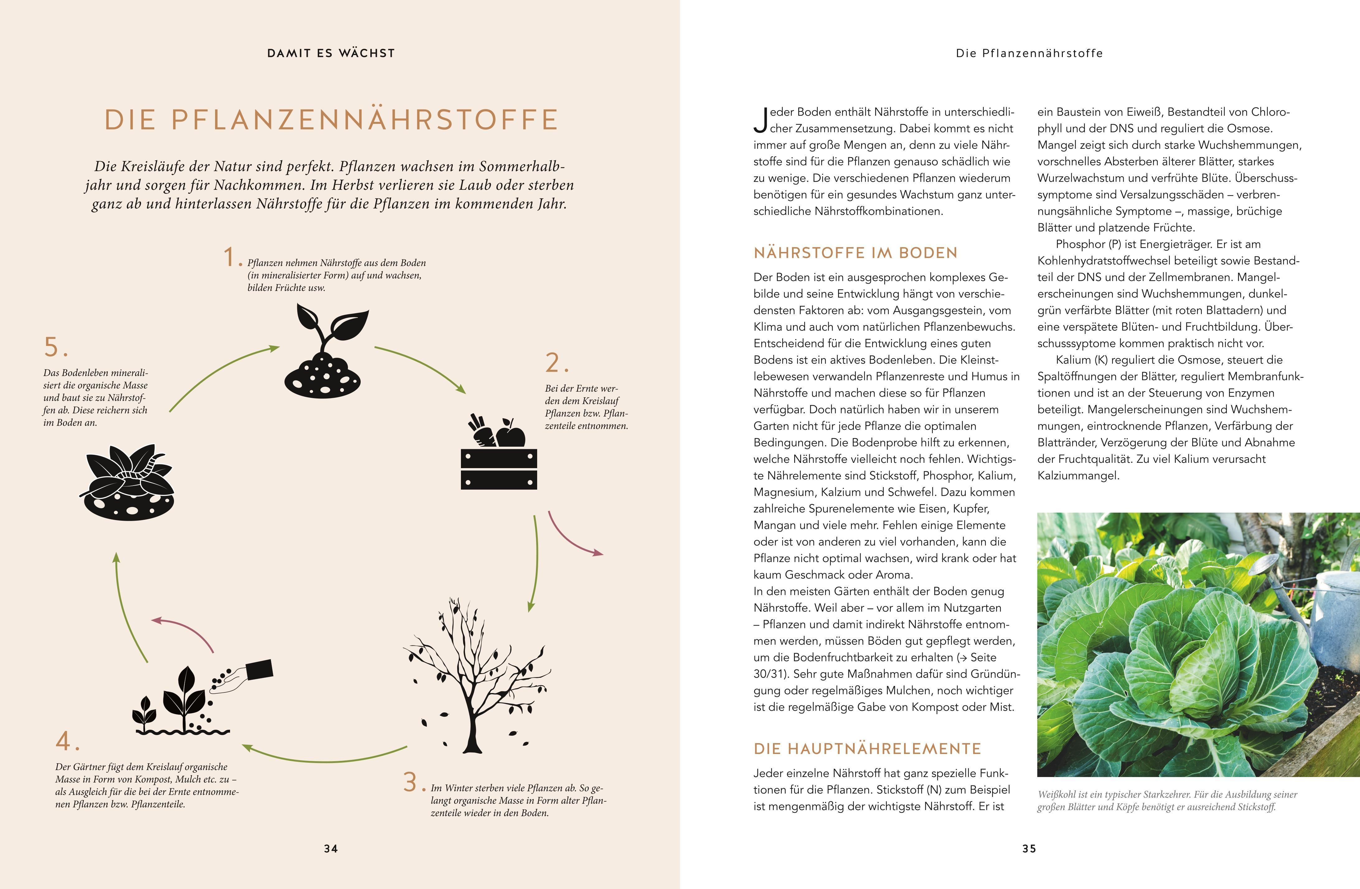 Beispielinhalt (Bild) Nachhaltig gärtnern