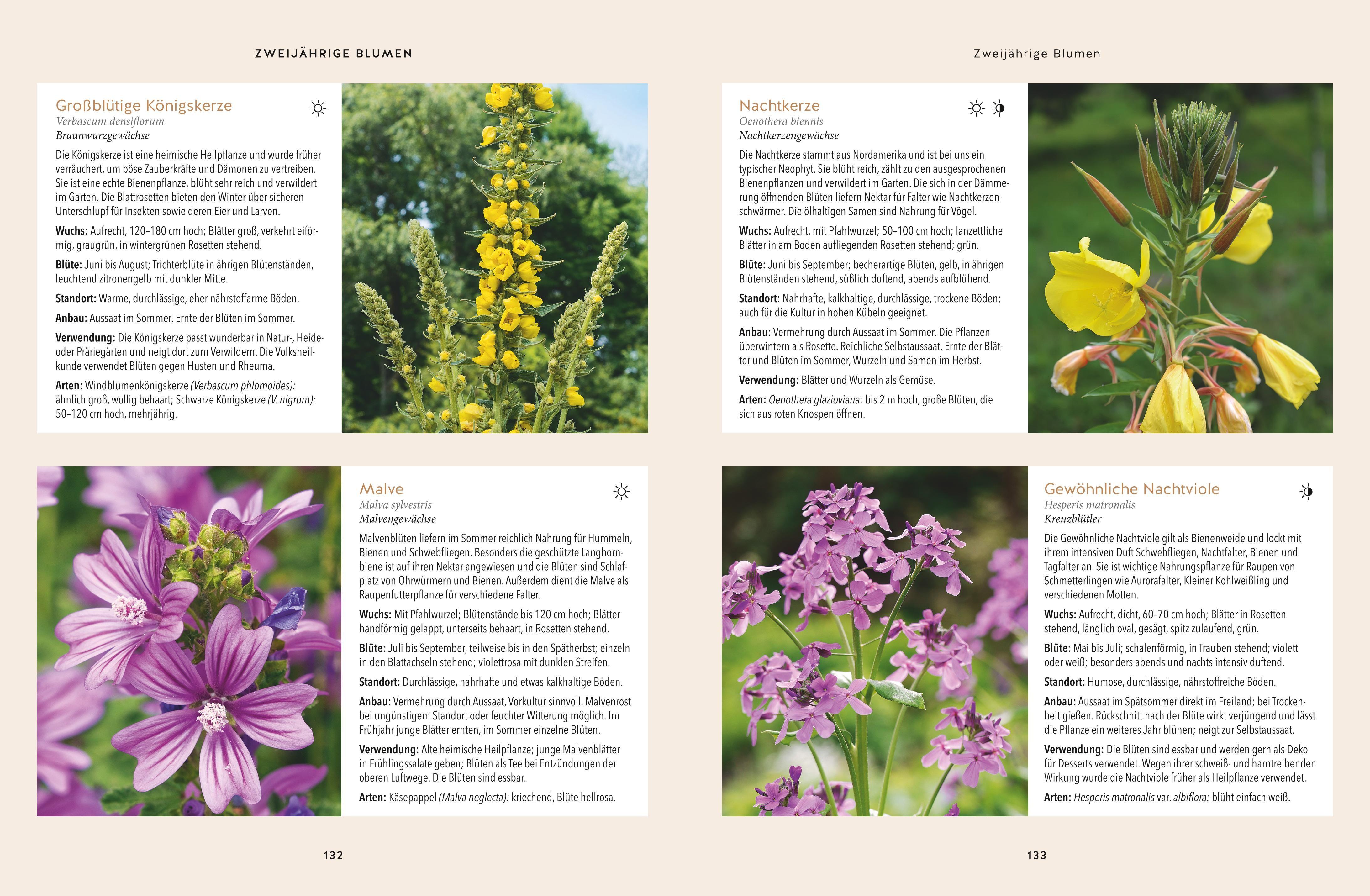 Beispielinhalt (Bild) Nachhaltig gärtnern