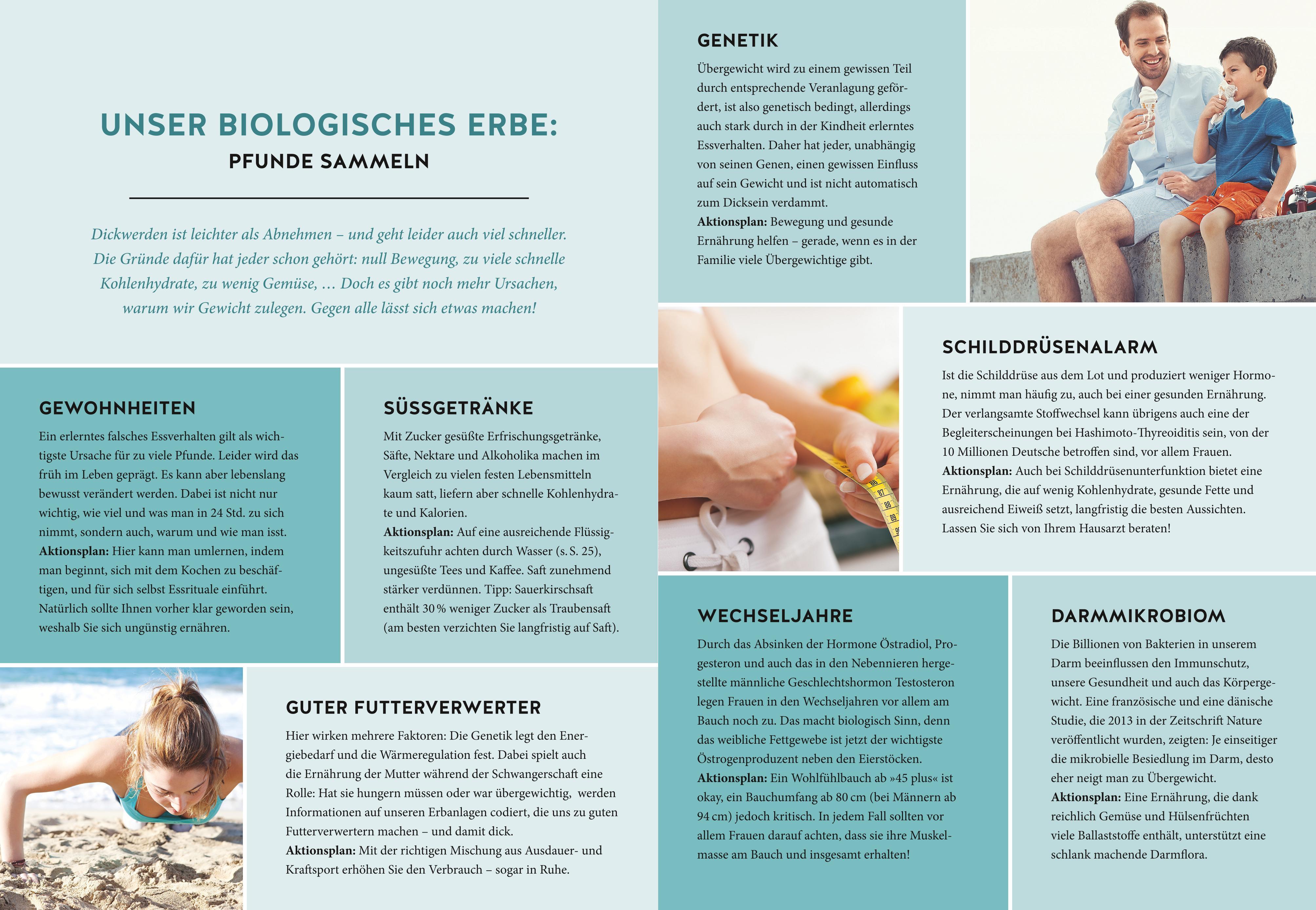 Beispielinhalt (Bild) Dr. Riedls 20:80 Expressküche