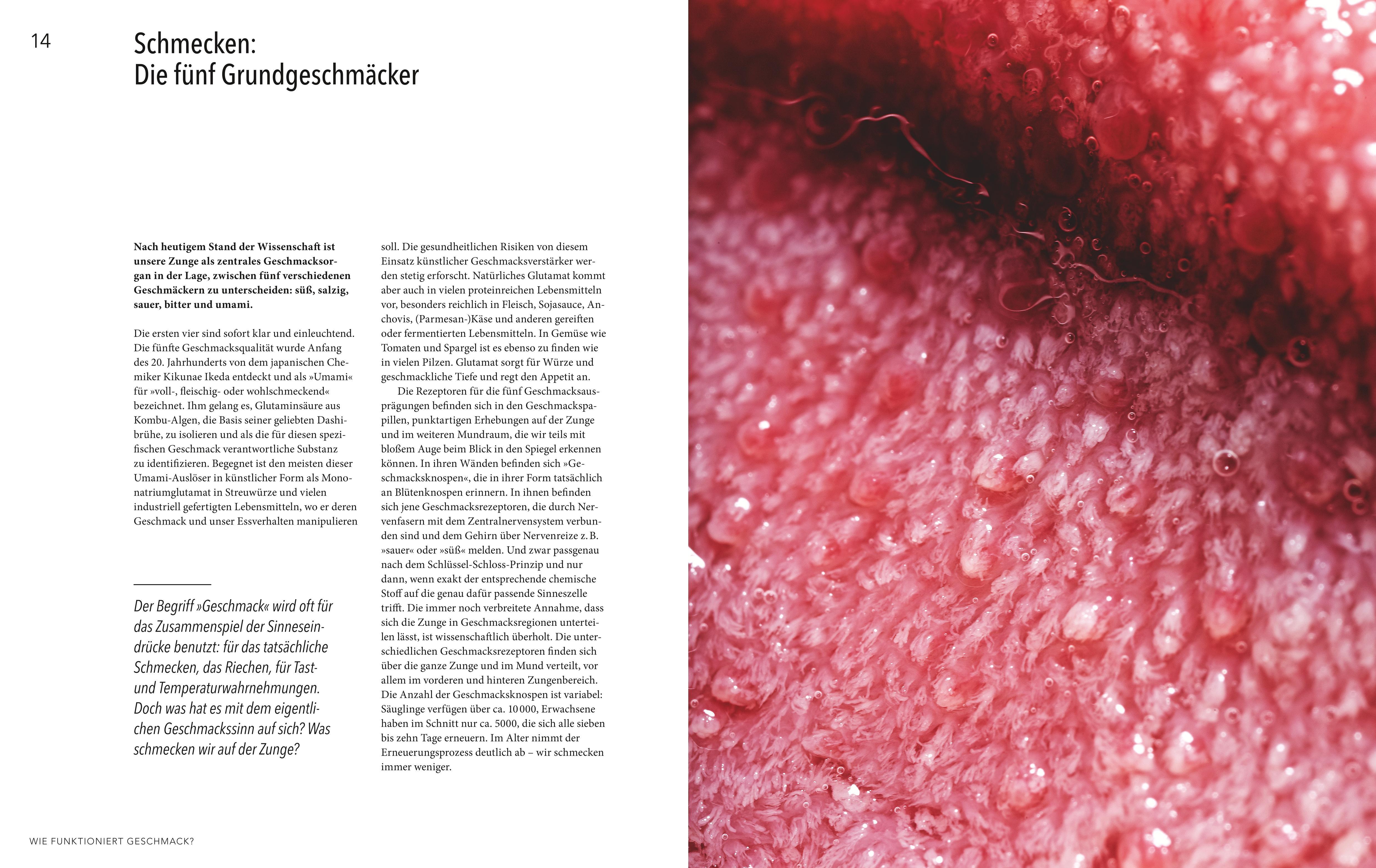 Beispielinhalt (Bild) Abenteuer Geschmack!