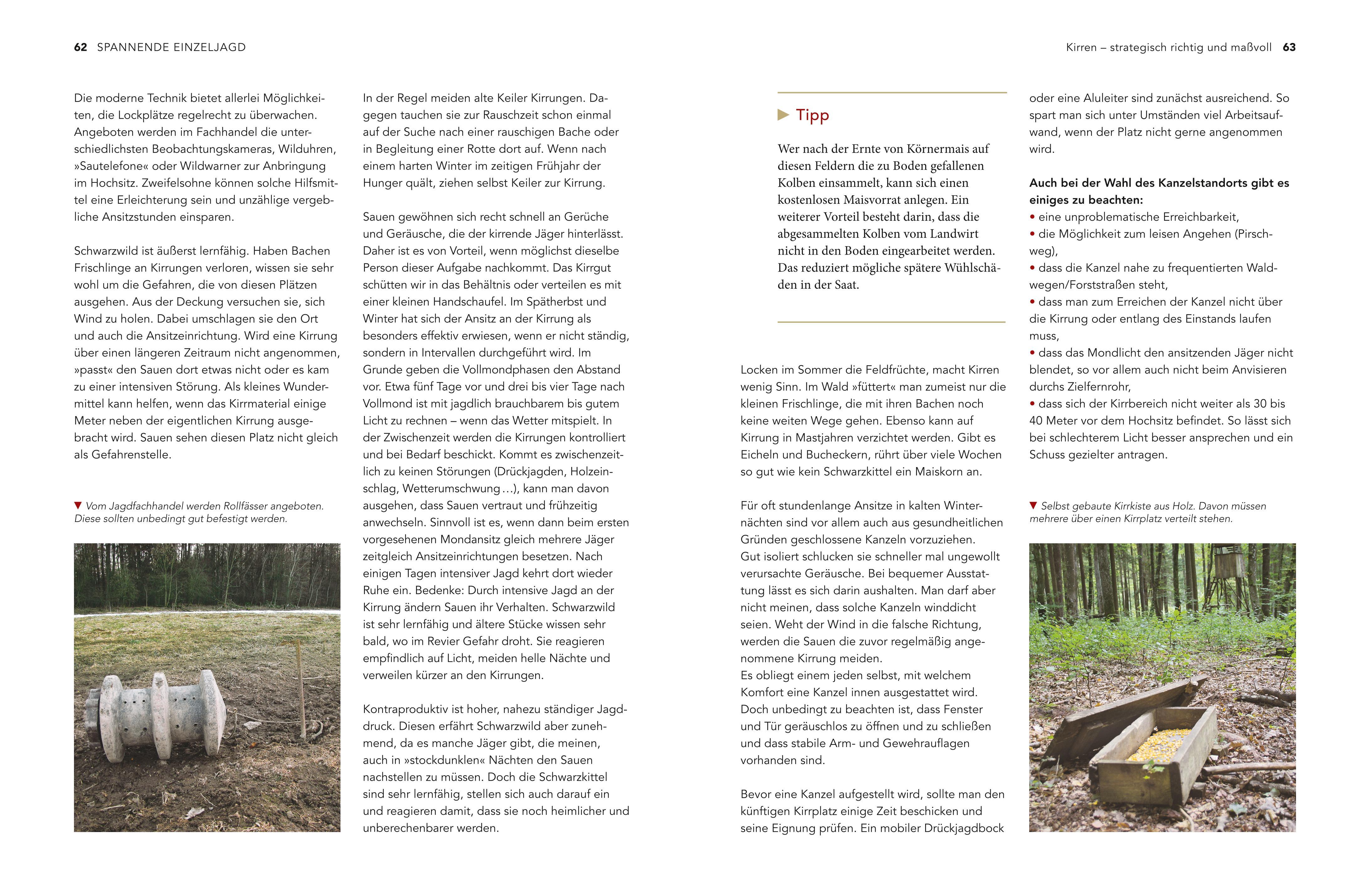 Beispielinhalt (Bild) Schwarzwild im Visier