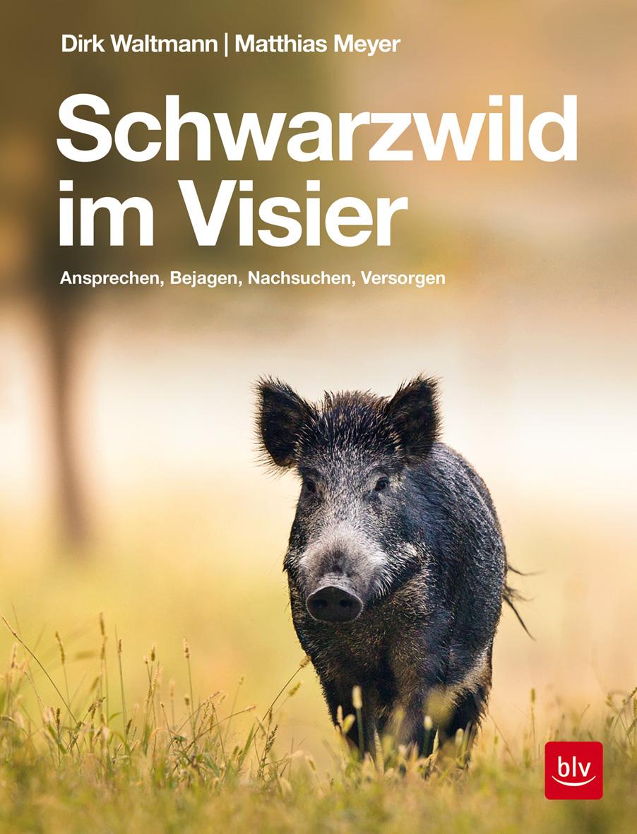 Vorderes Coverbild Schwarzwild im Visier