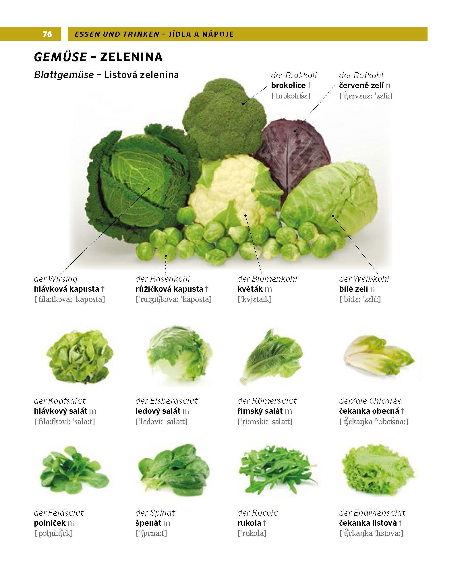 Beispielinhalt (Bild) PONS Bildwörterbuch Tschechisch