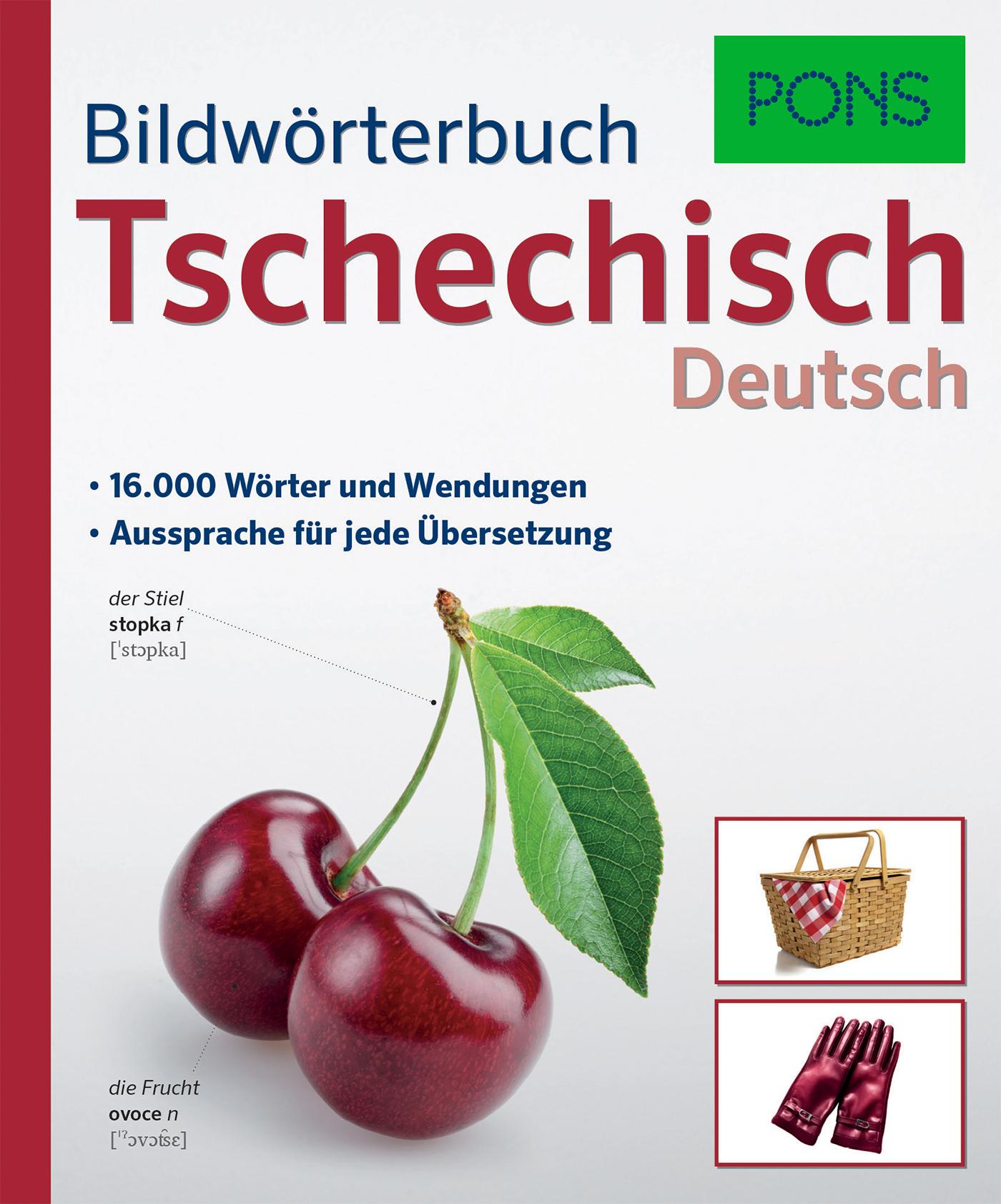 Vorderes Coverbild PONS Bildwörterbuch Tschechisch