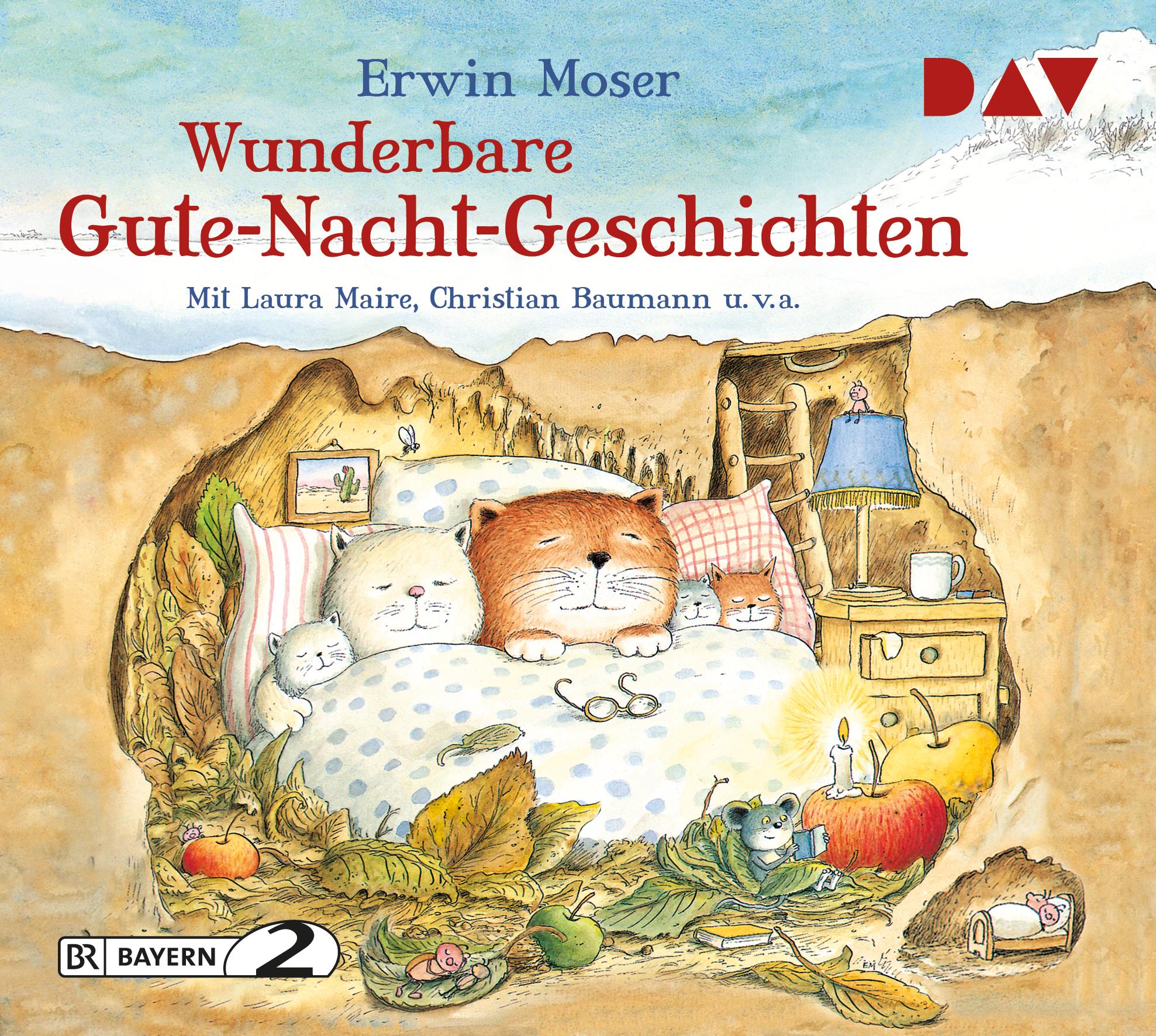 Vorderes Coverbild Wunderbare Gute-Nacht-Geschichten