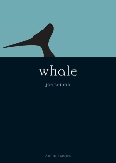 Vorderes Coverbild Whale