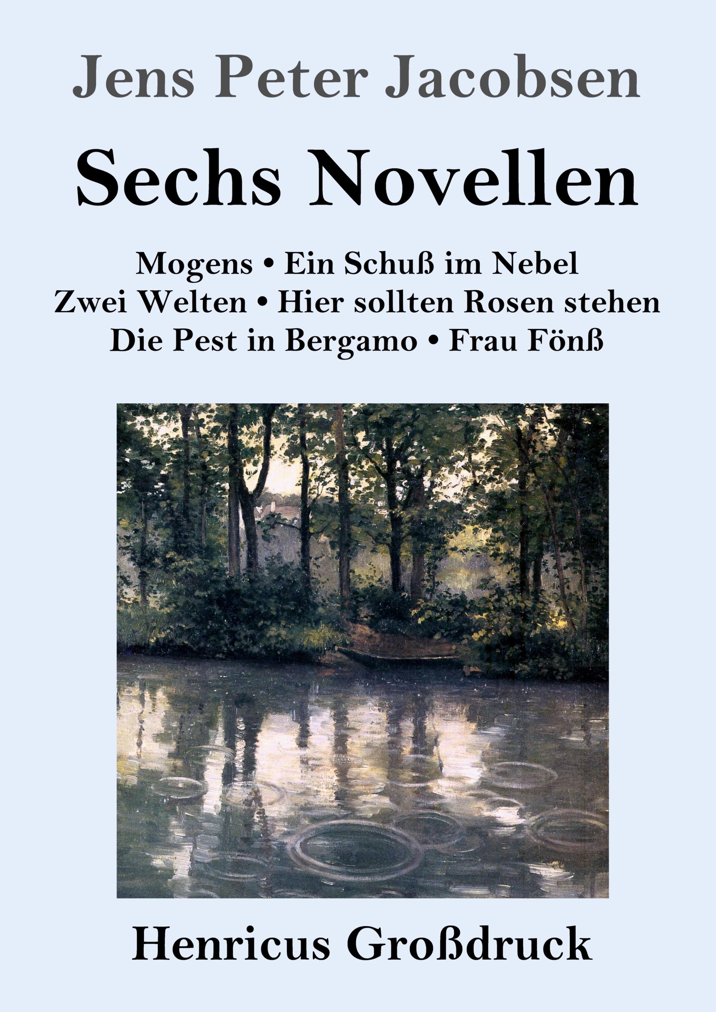 Vorderes Coverbild Sechs Novellen (Großdruck)