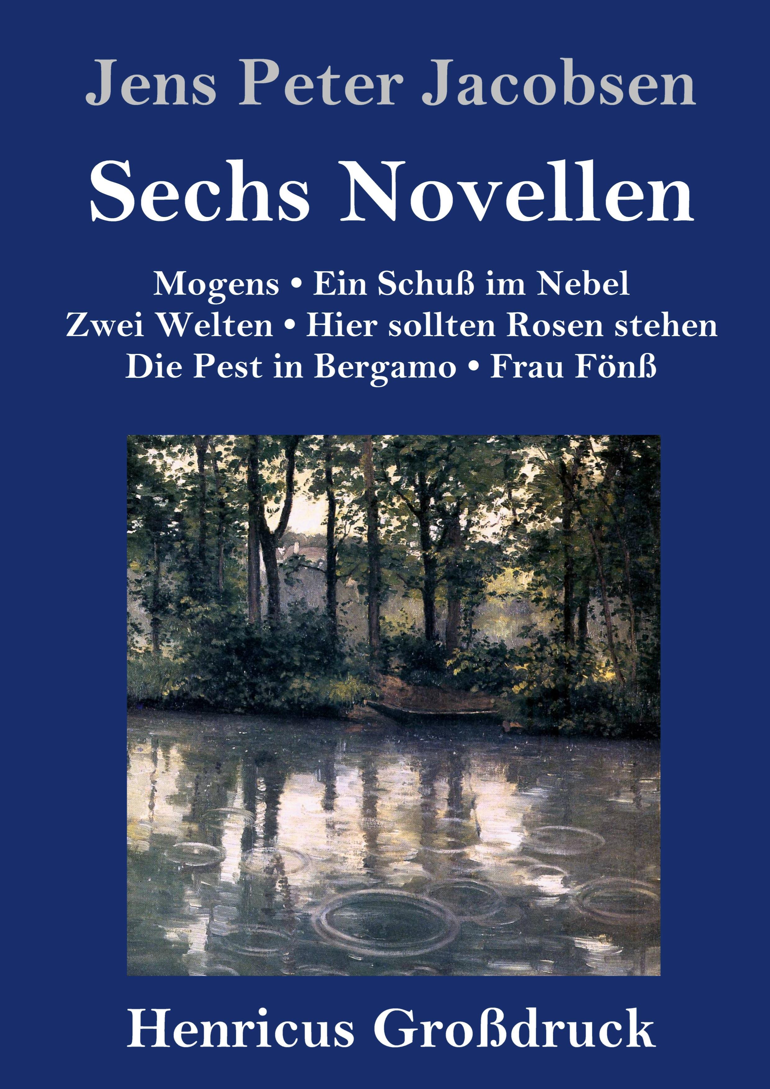 Vorderes Coverbild Sechs Novellen (Großdruck)