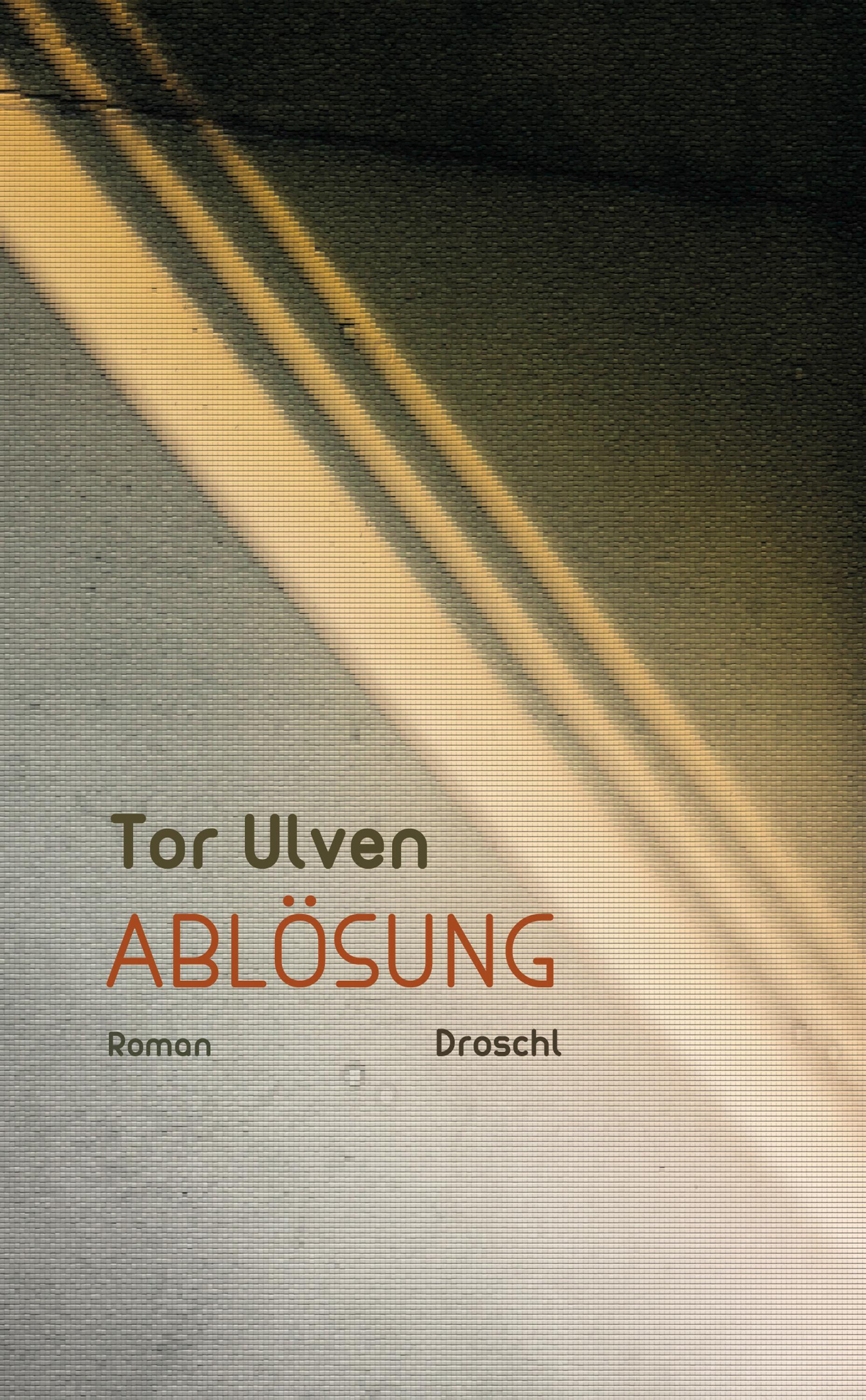 Vorderes Coverbild Ablösung