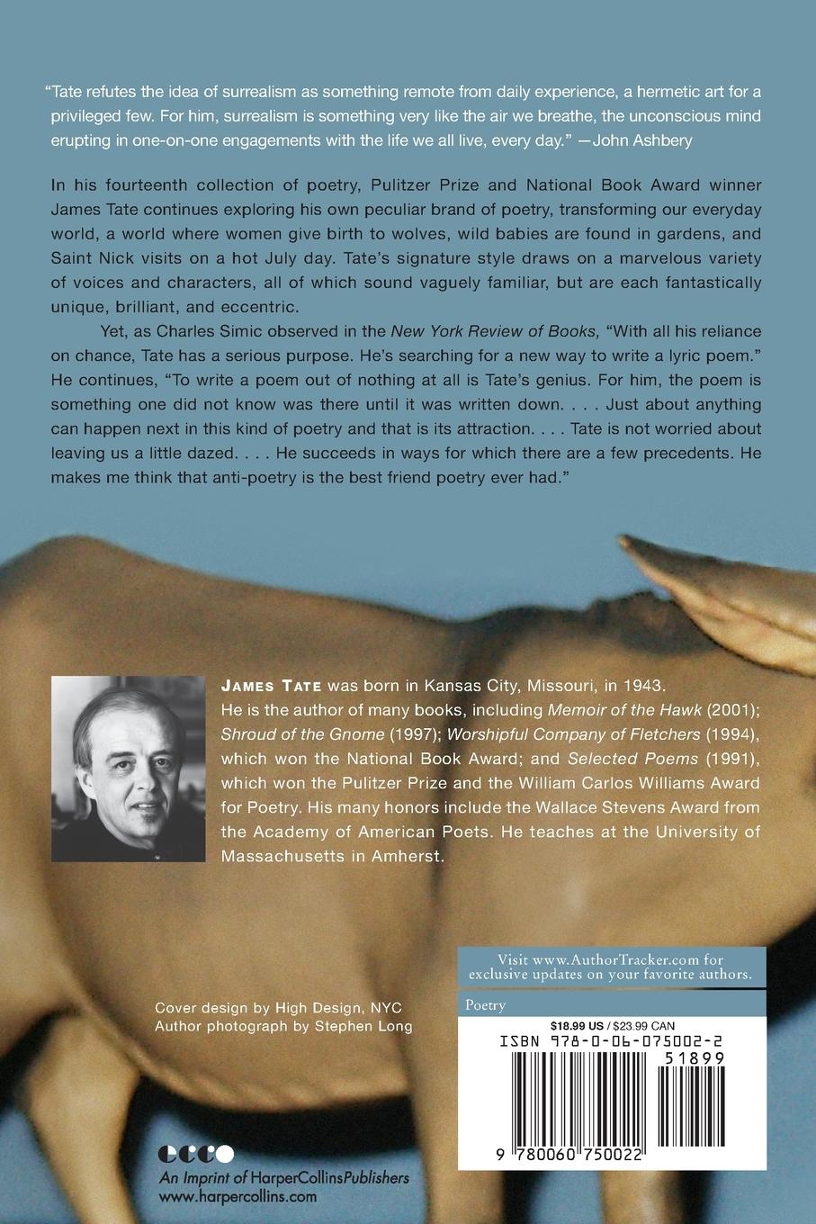 Rückseitencover Return to the City of White Donkeys