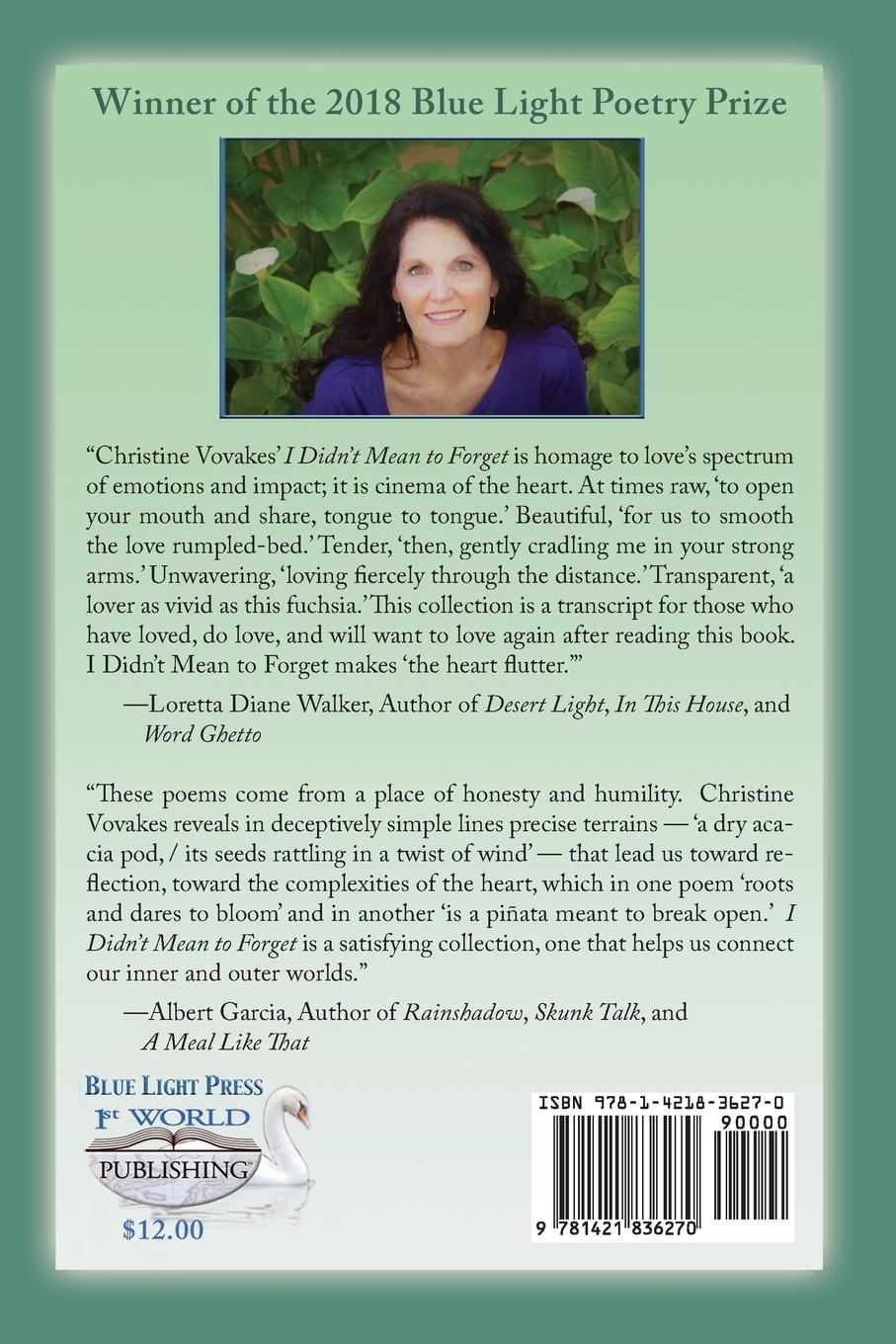 Rückseitencover I Didn't Mean to Forget