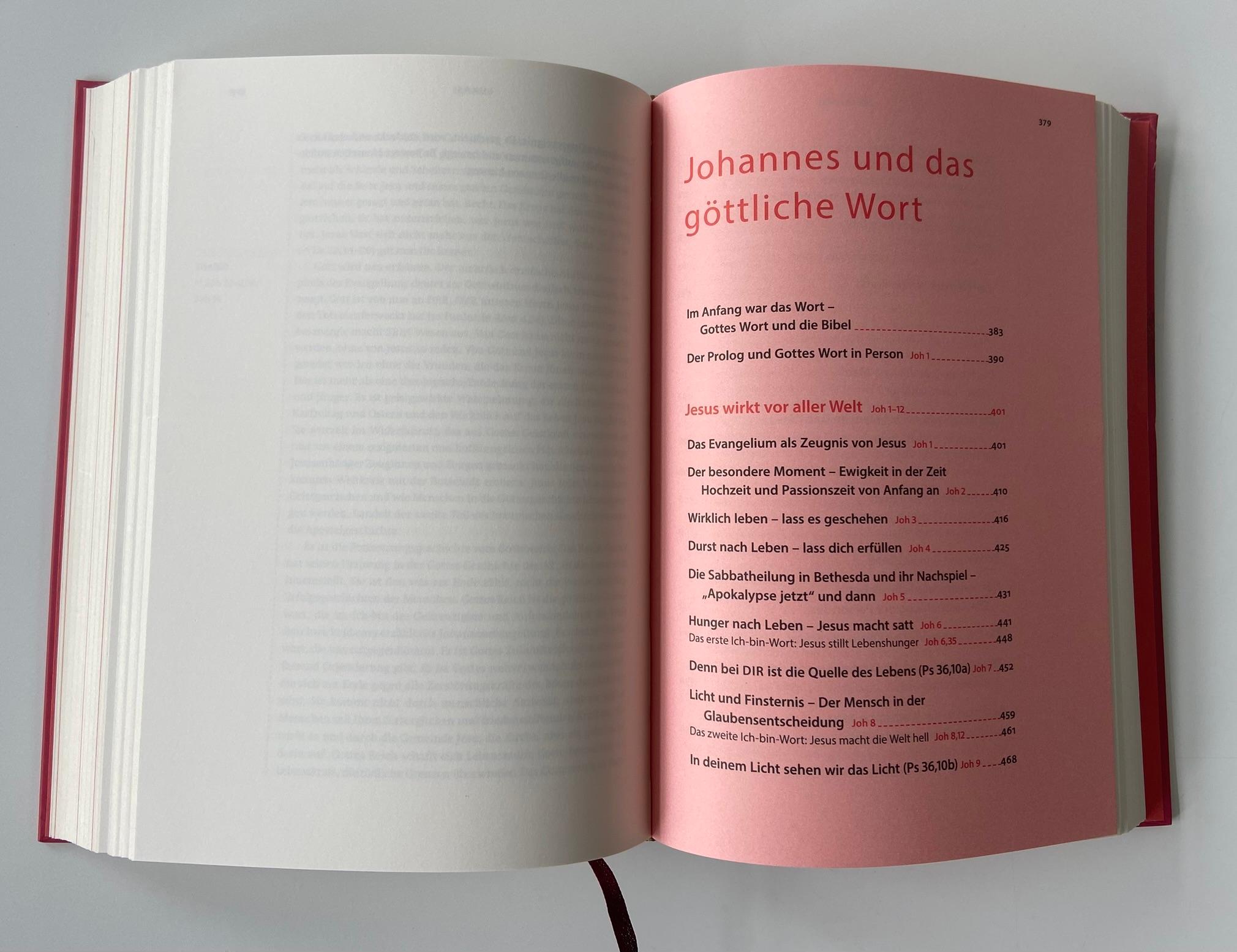 Beispielinhalt (Bild) Neukirchener Bibel - Die Evangelien